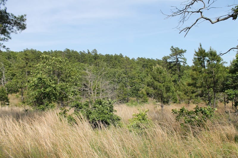 Indian Ridge – Phase II Tract 67 photo 7
