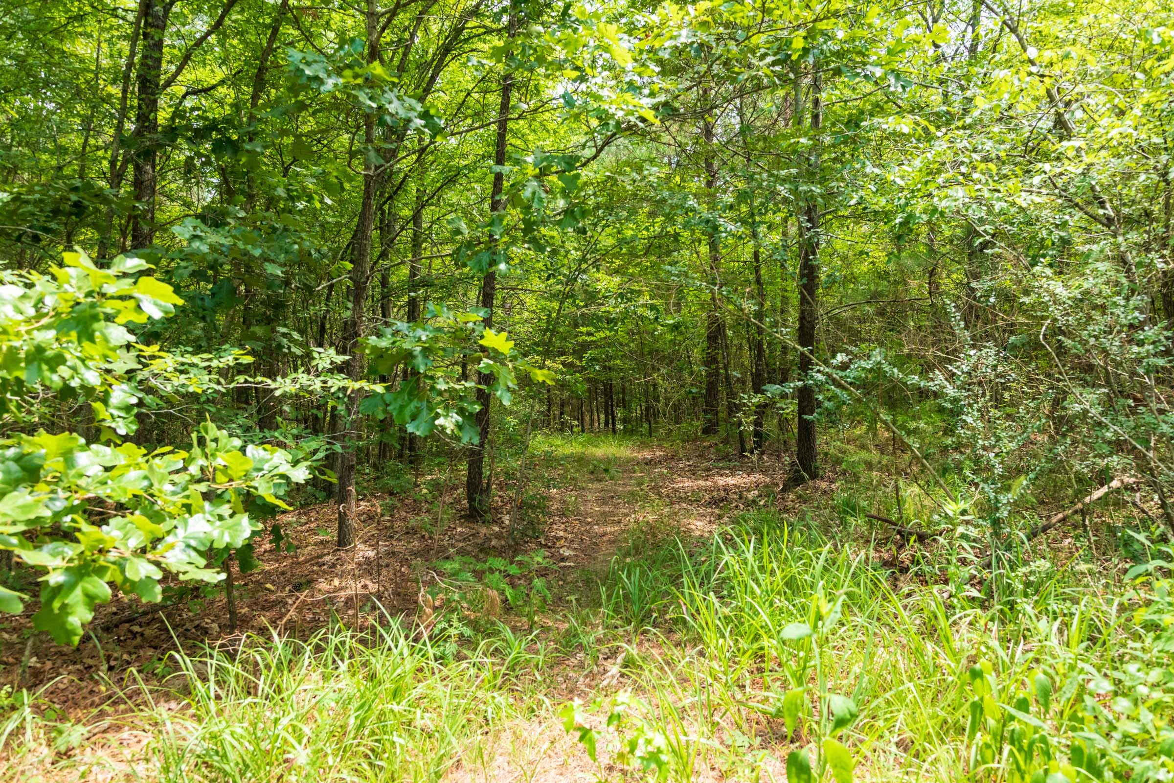 Whiskey Ridge Tract 47 photo 2