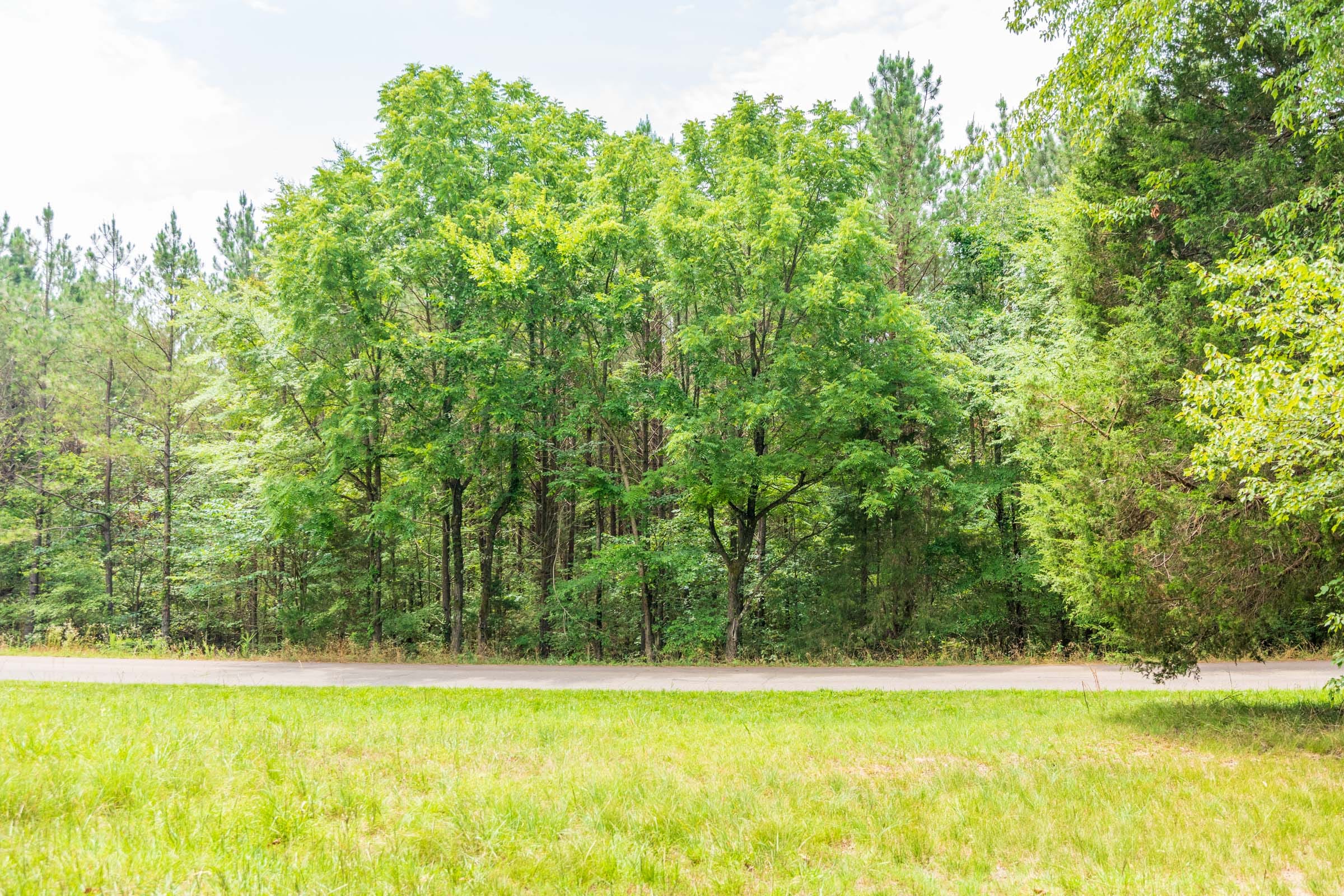 Whiskey Ridge Tract 47 photo 14