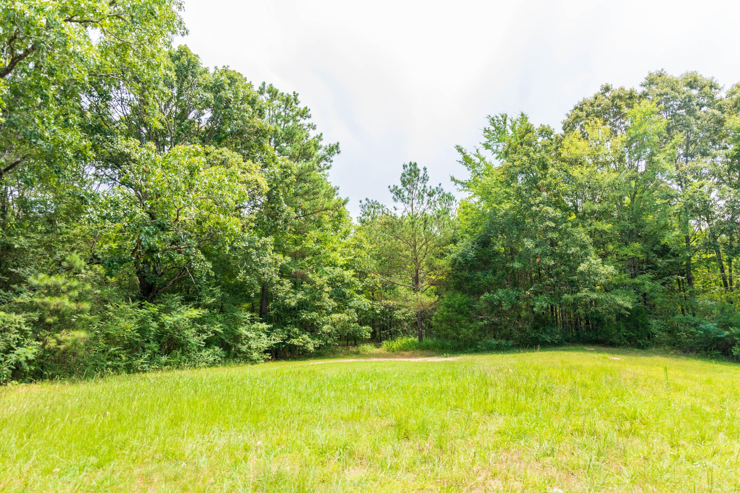 Whiskey Ridge Tract 47 photo 5