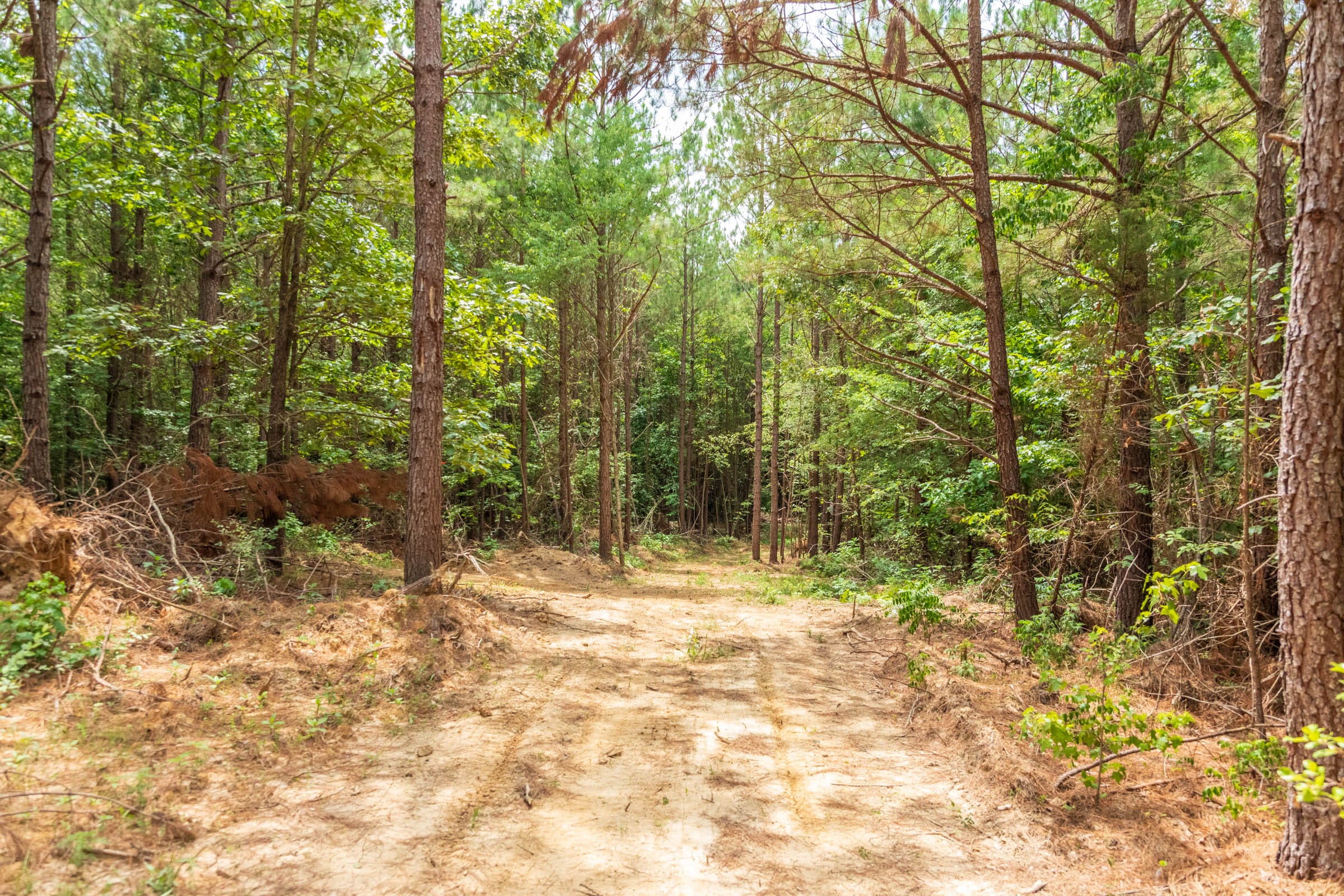 Whiskey Ridge Tract 47 photo 11