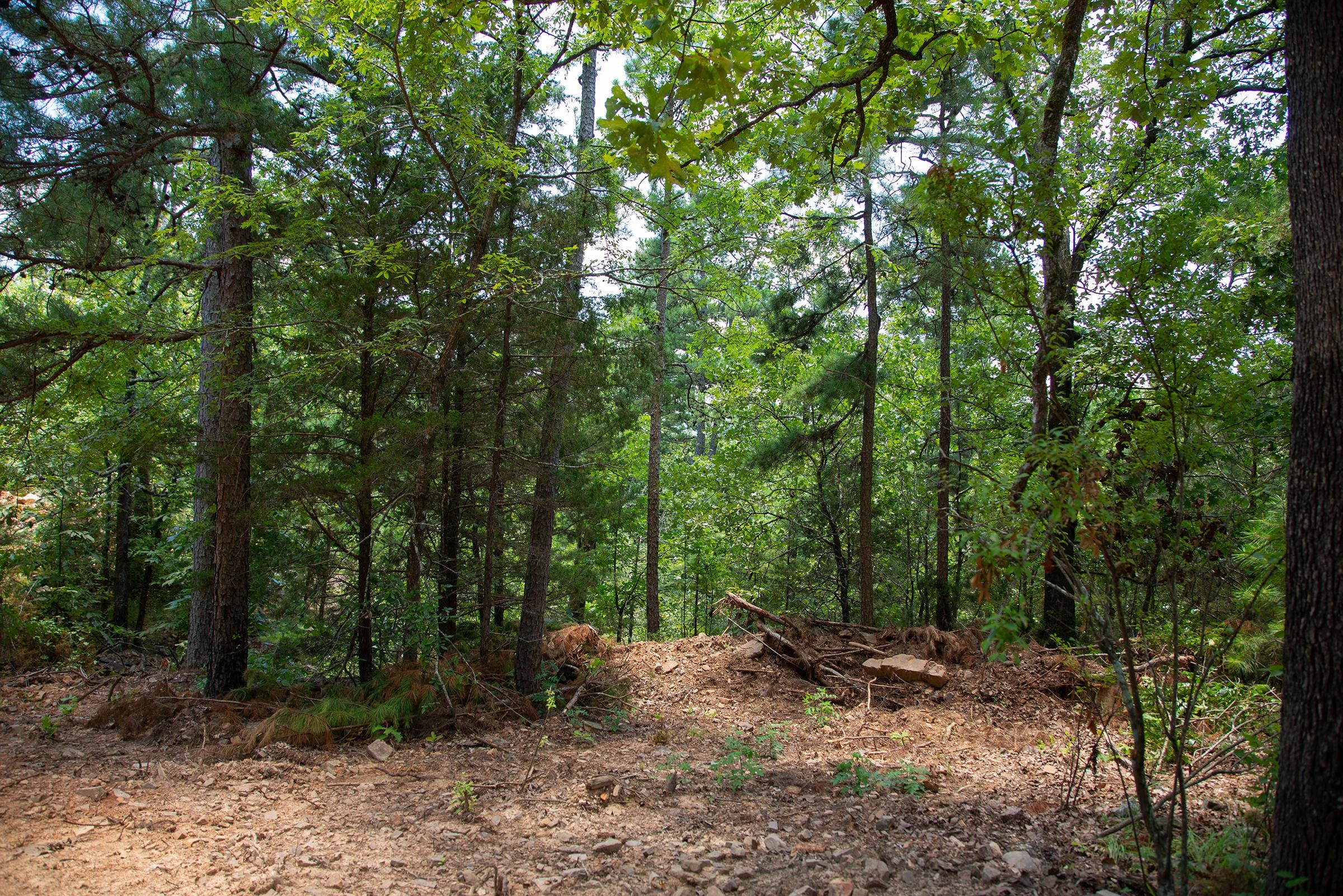 Tyler Stone Ranch Tract 71 photo 3