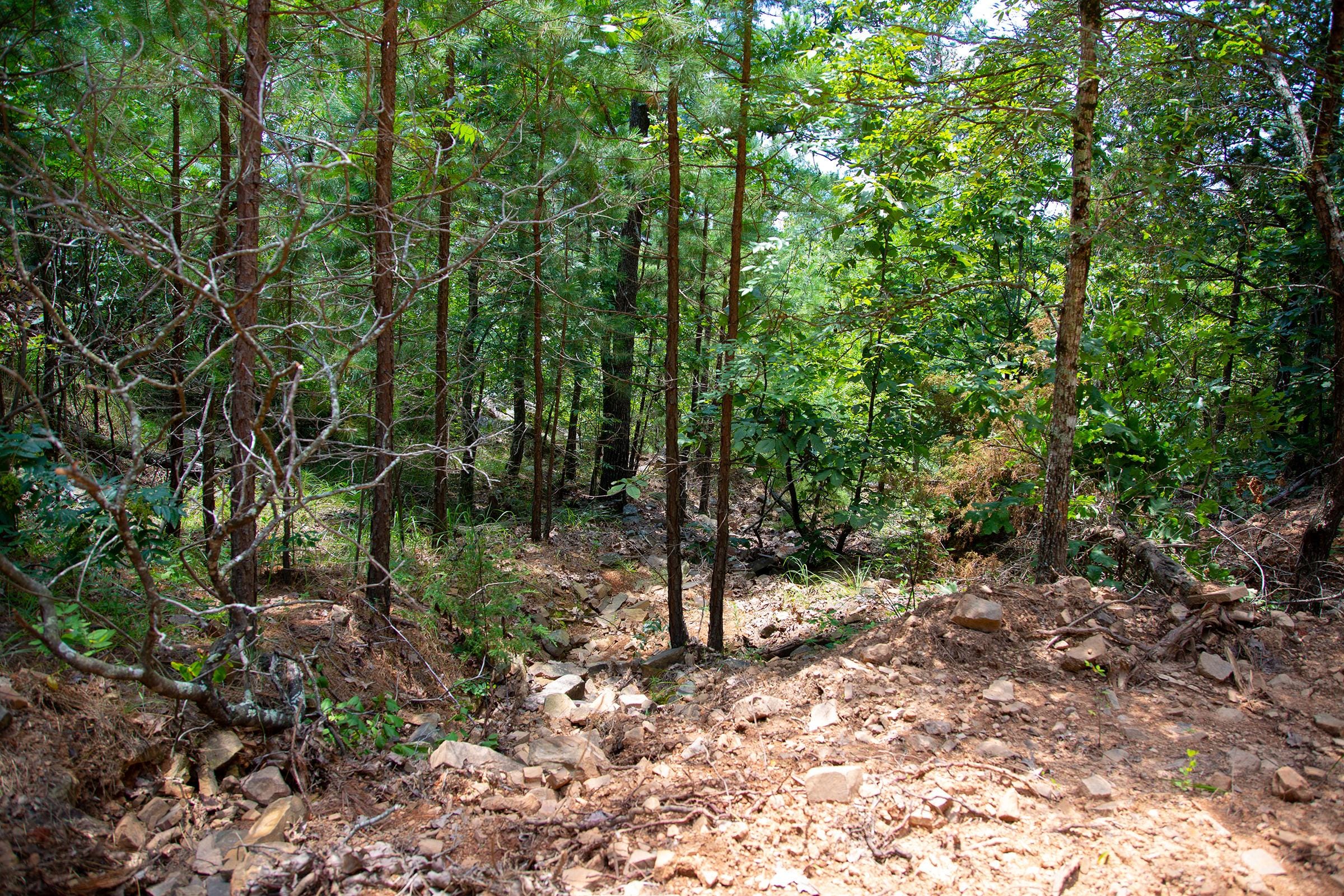 Tyler Stone Ranch Tract 71 photo 5
