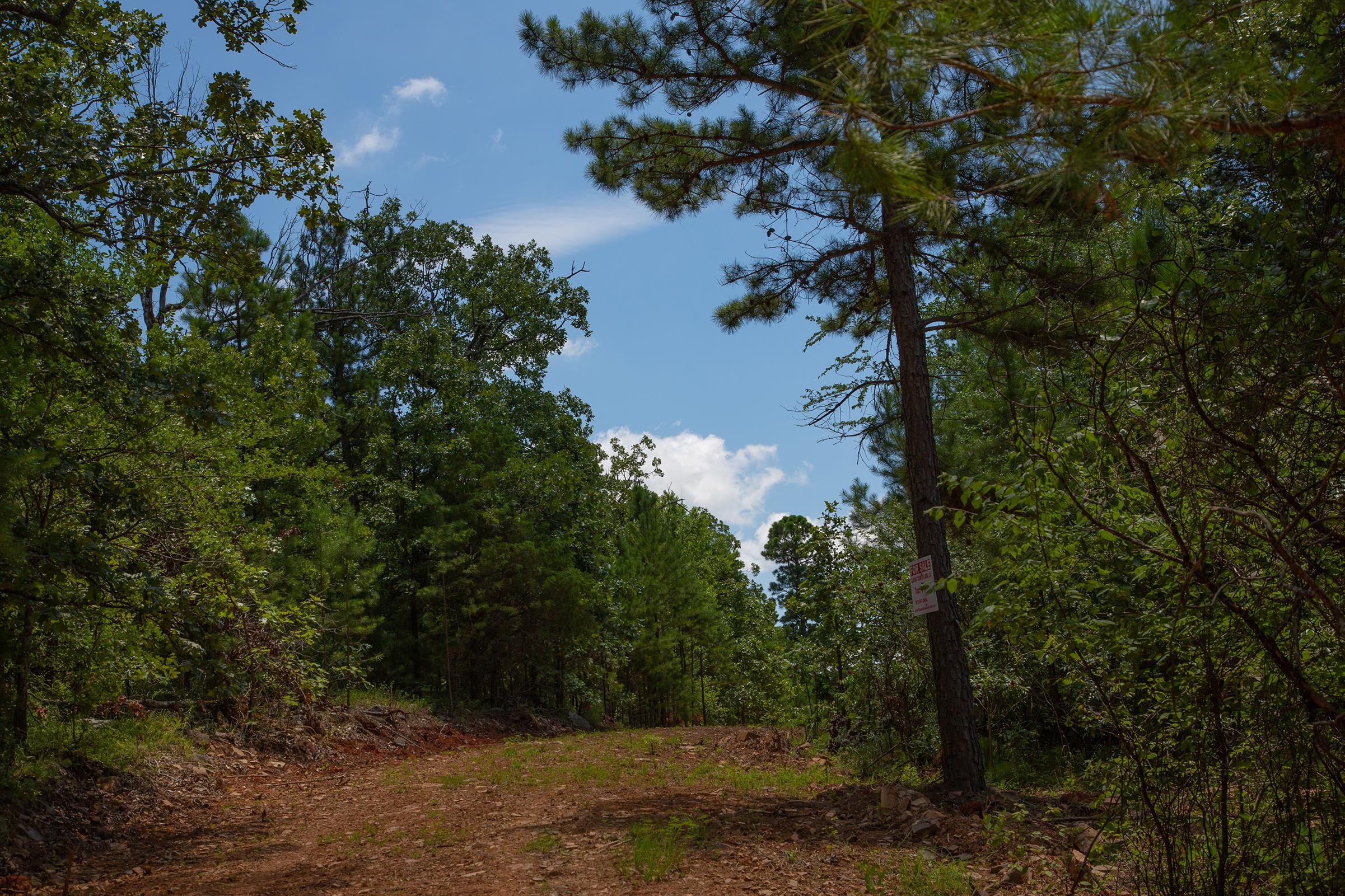 Tyler Stone Ranch Tract 71 photo 6
