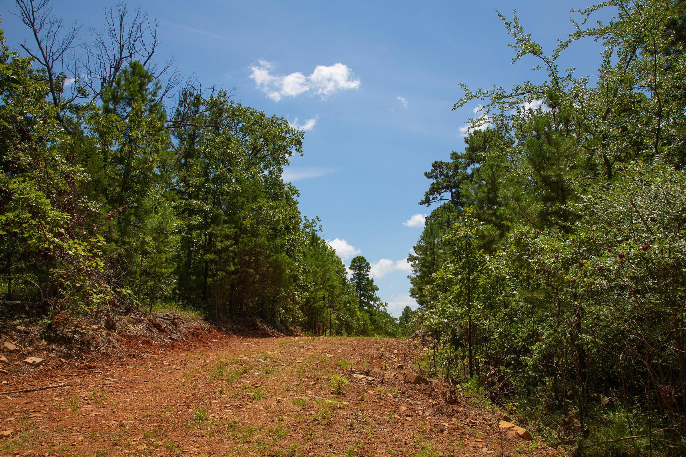 Tyler Stone Ranch Tract 71 photo 7