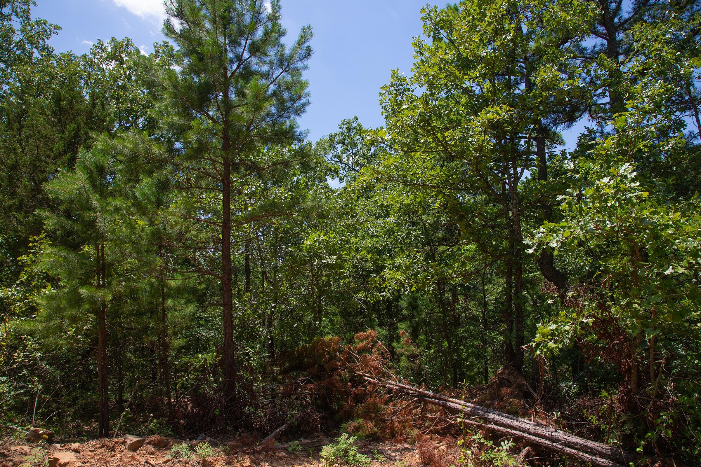 Tyler Stone Ranch Tract 71 photo 8