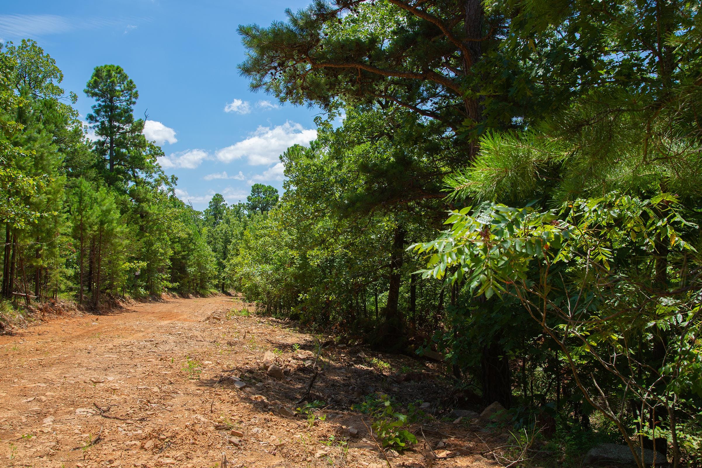 Tyler Stone Ranch Tract 71 photo 9