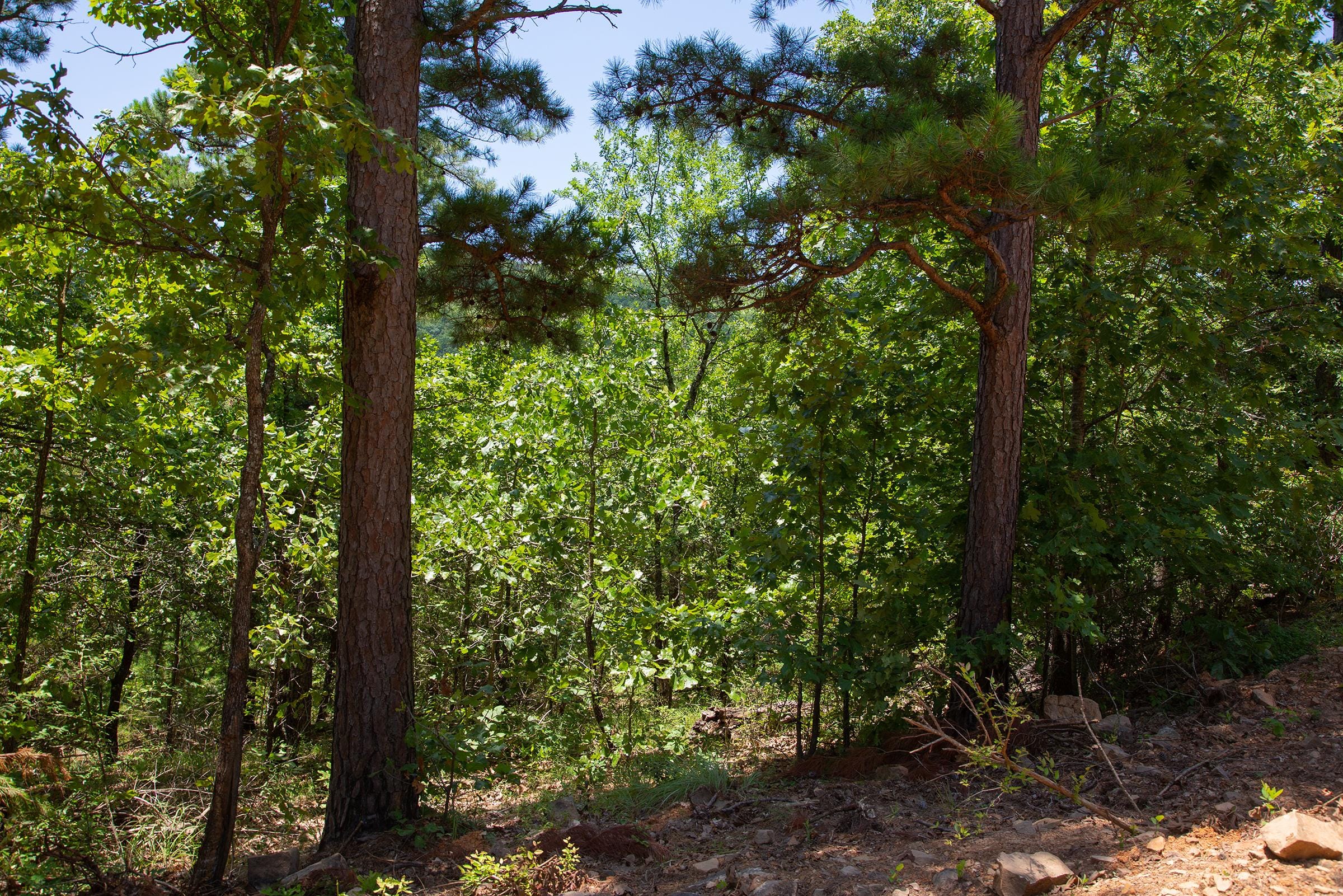 Tyler Stone Ranch Tract 71 photo 1