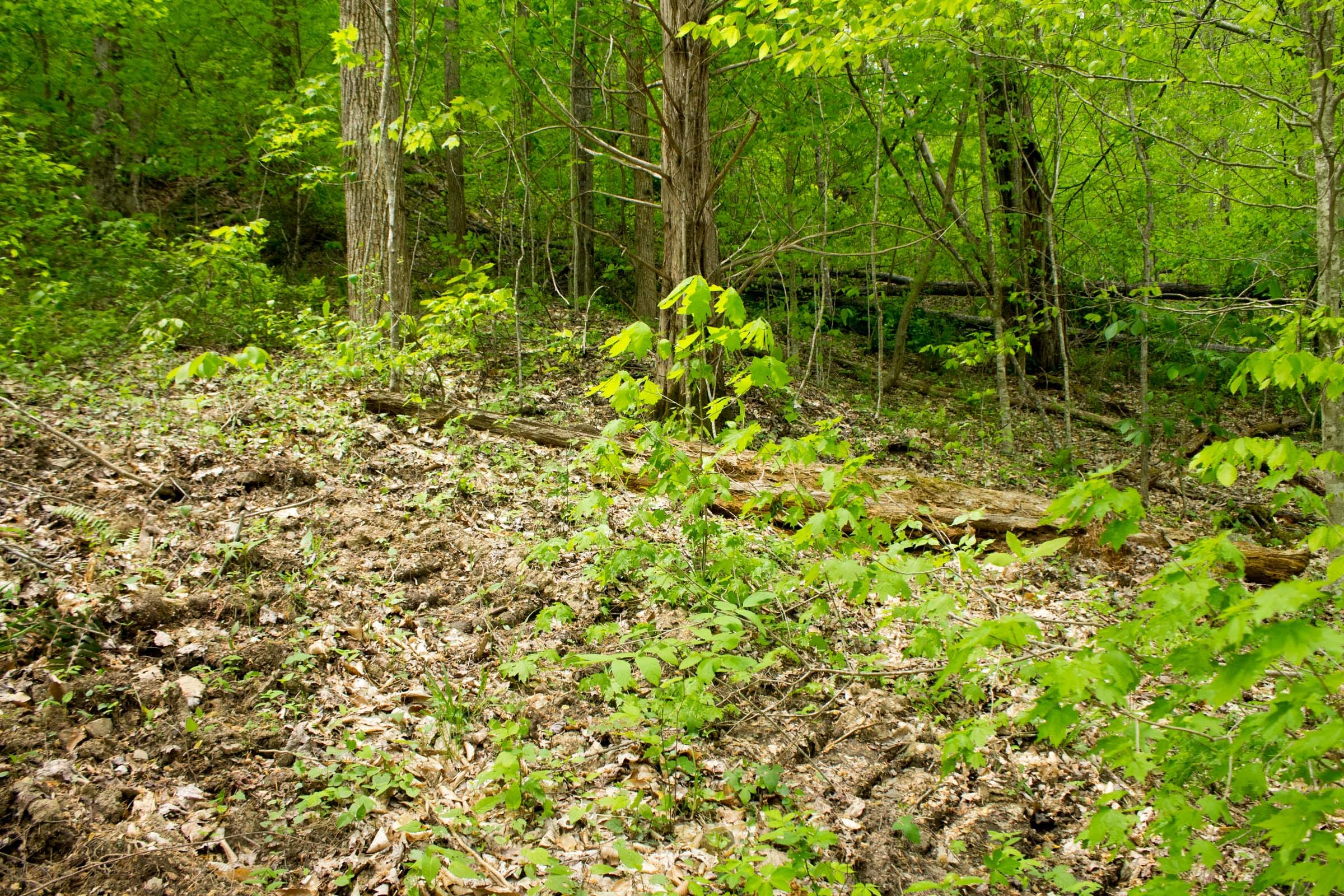 Trails End Tract 15 photo 3
