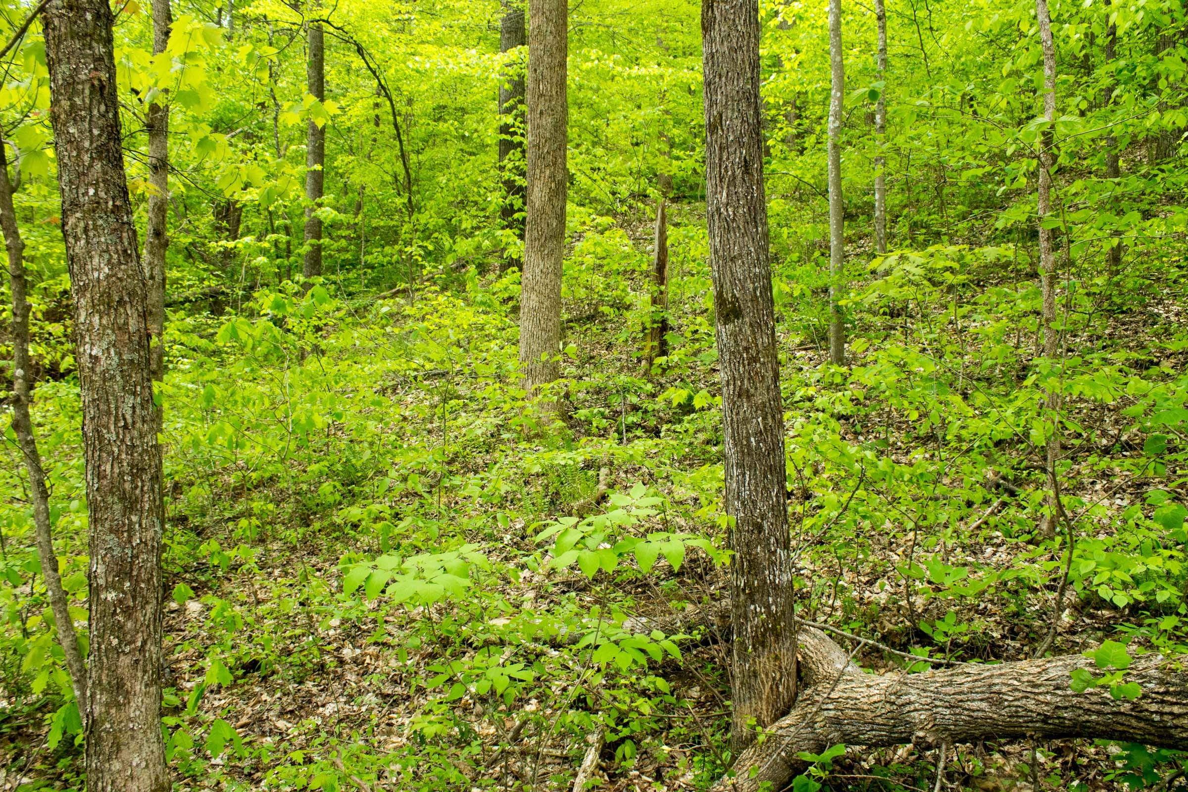 Trails End Tract 15 photo 1