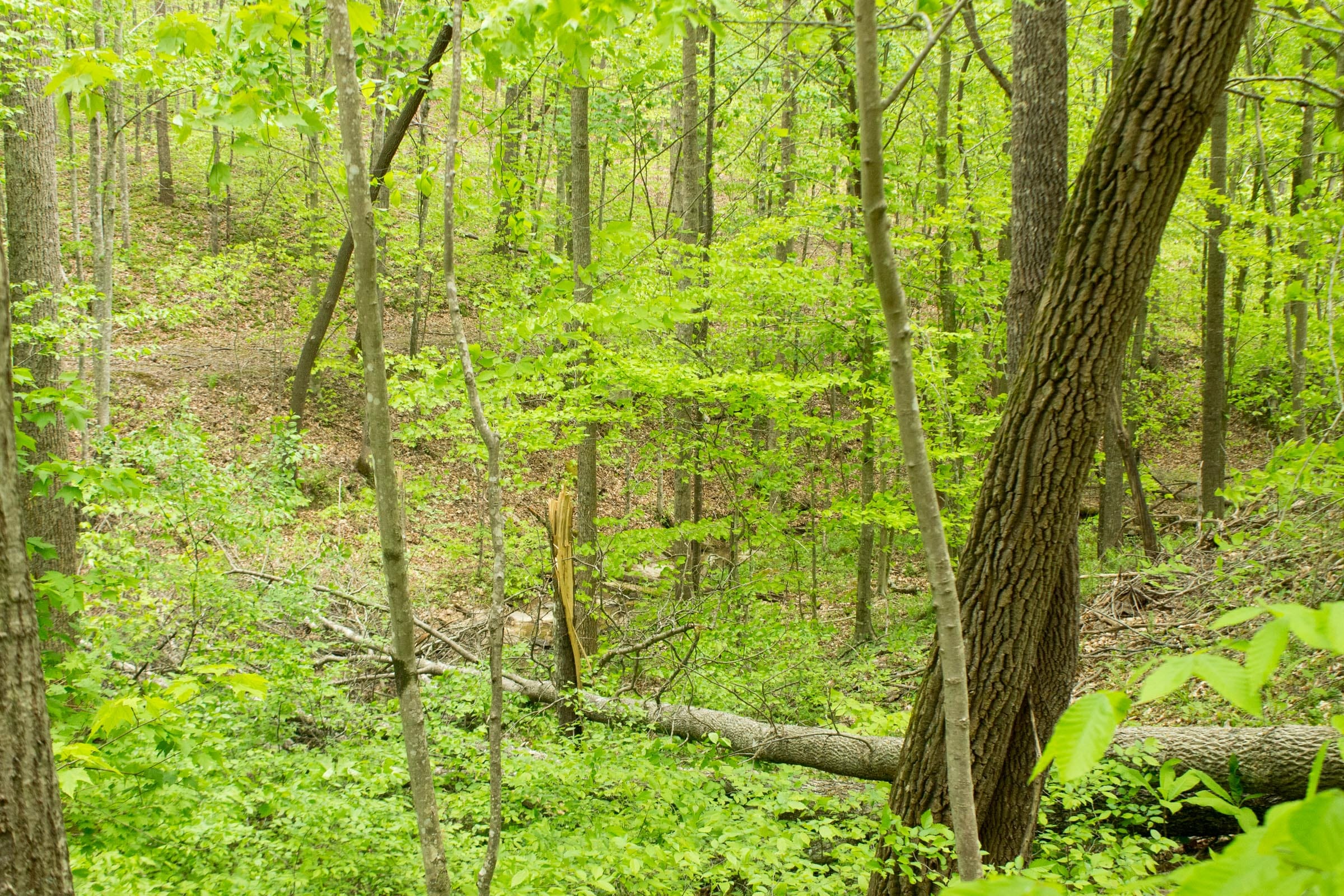 Trails End Tract 15 photo 14