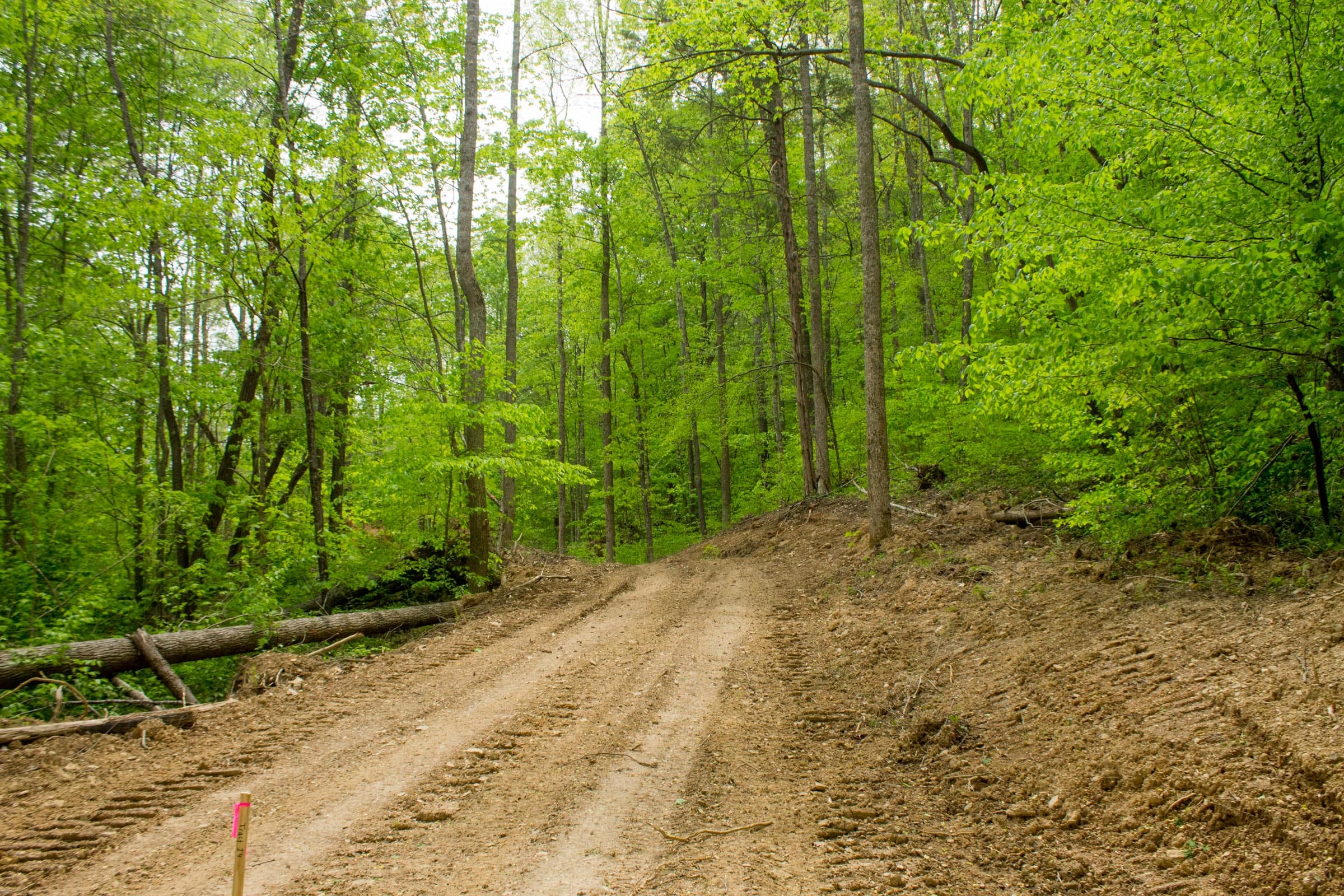 Trails End Tract 15 photo 15