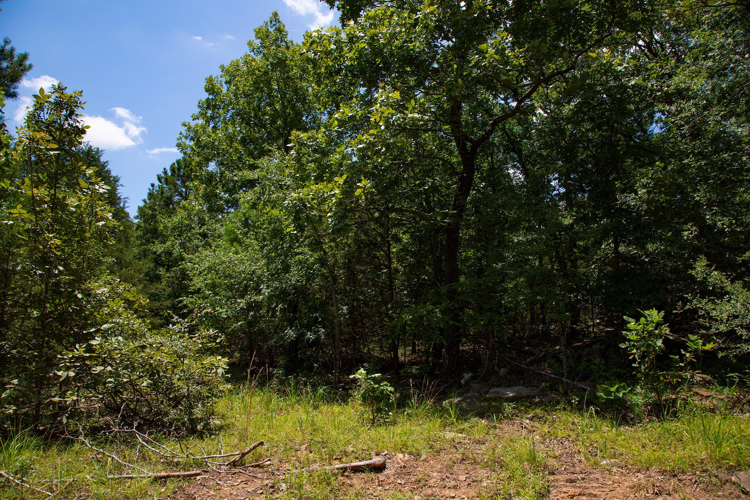 Tyler Stone Ranch Tract 75 photo 6