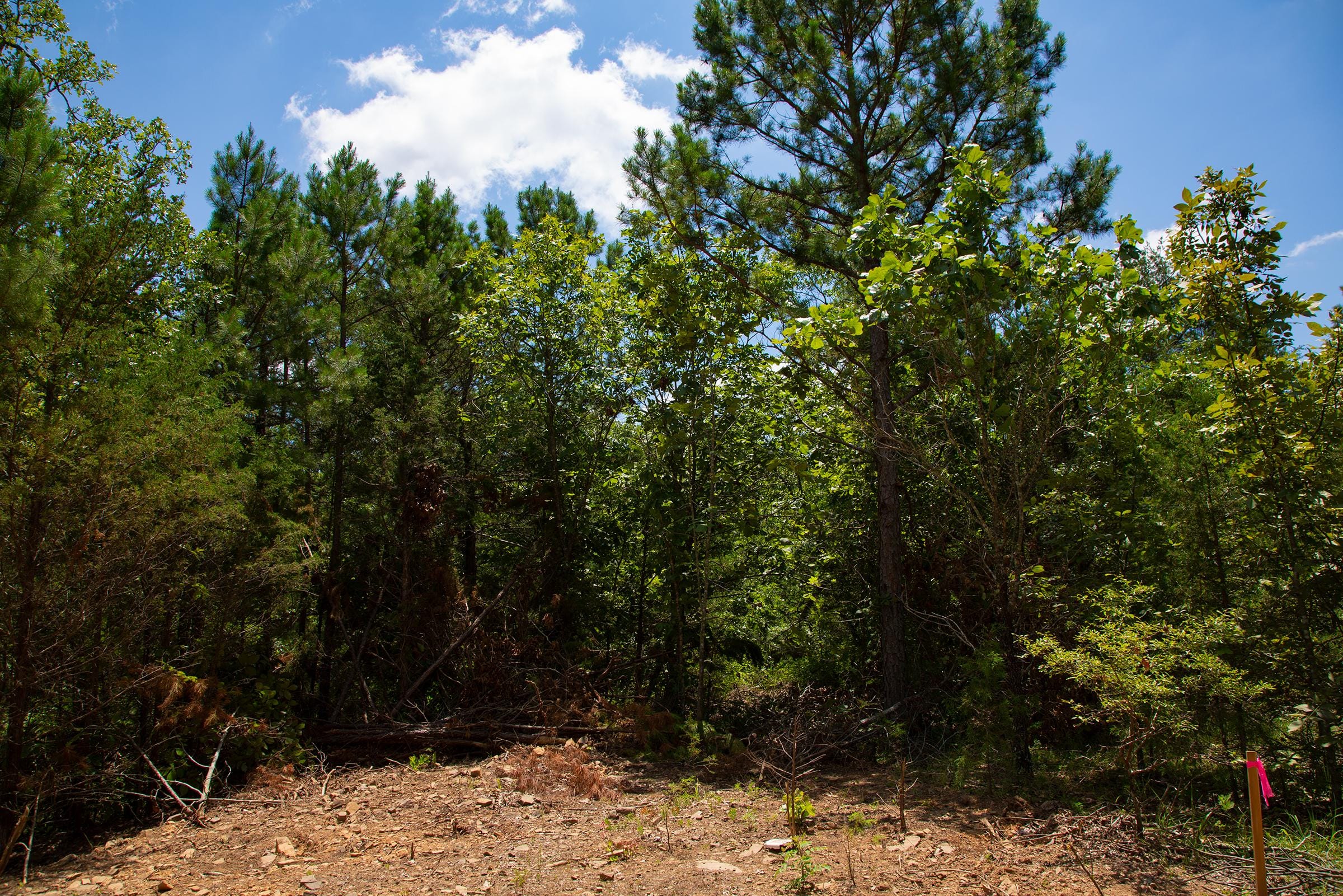 Tyler Stone Ranch Tract 75 photo 7