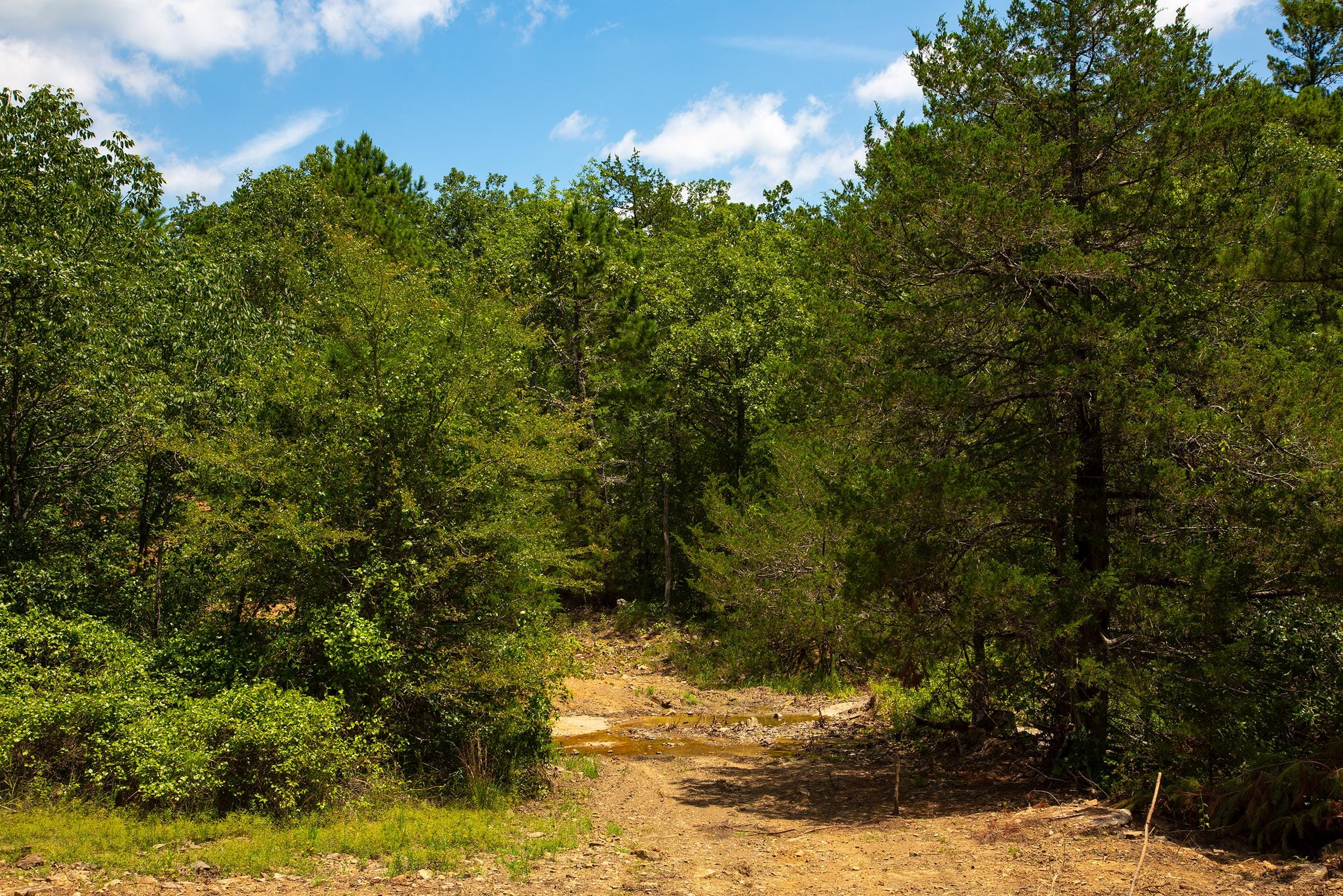 Tyler Stone Ranch Tract 75 photo 3