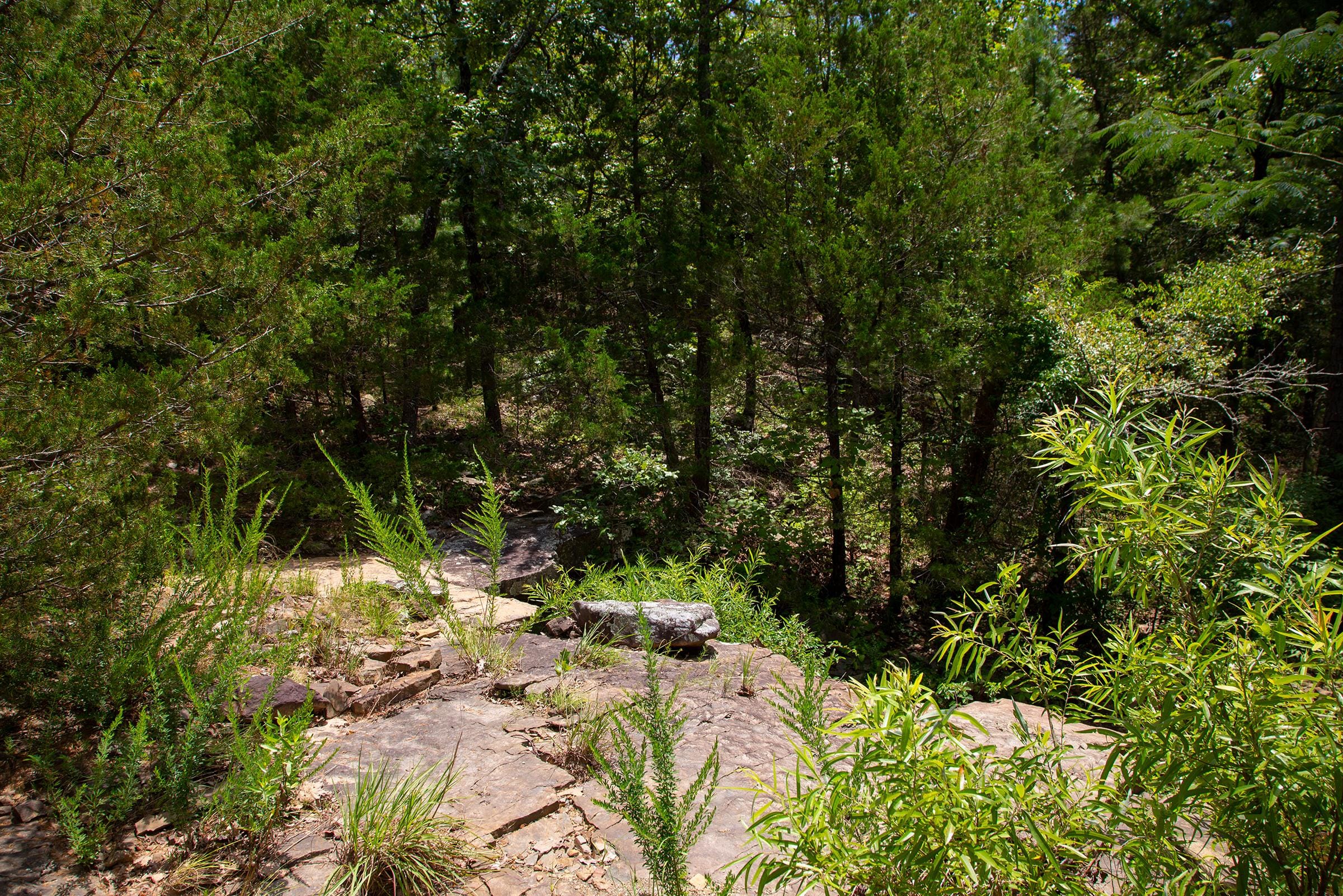 Tyler Stone Ranch Tract 75 photo 12