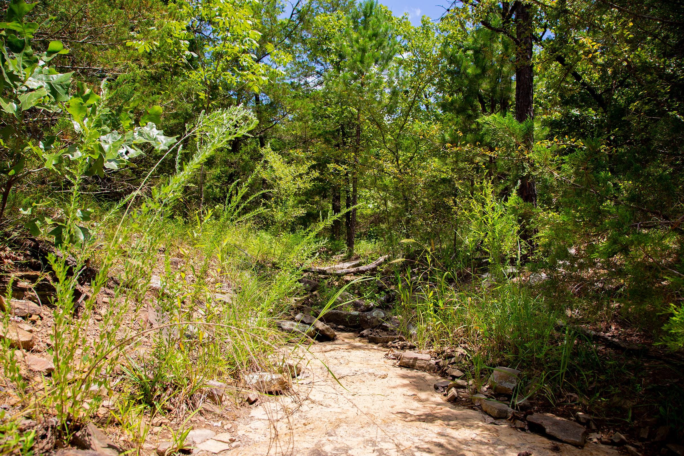 Tyler Stone Ranch Tract 75 photo 13