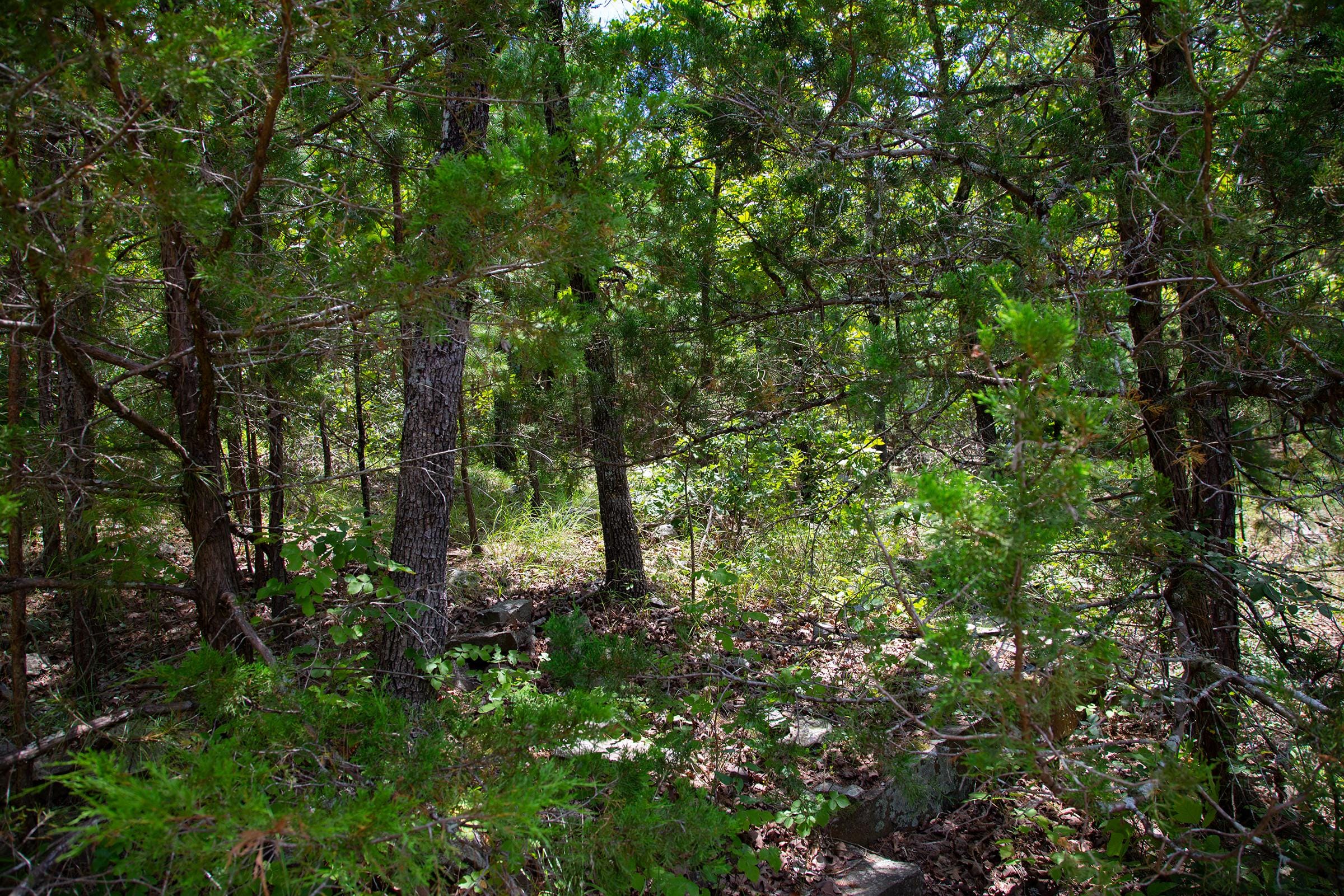Tyler Stone Ranch Tract 75 photo 14