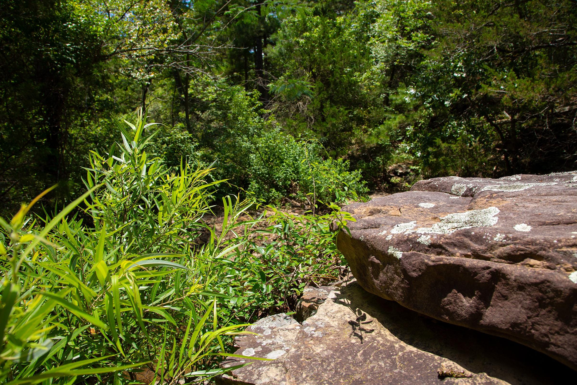 Tyler Stone Ranch Tract 75 photo 1