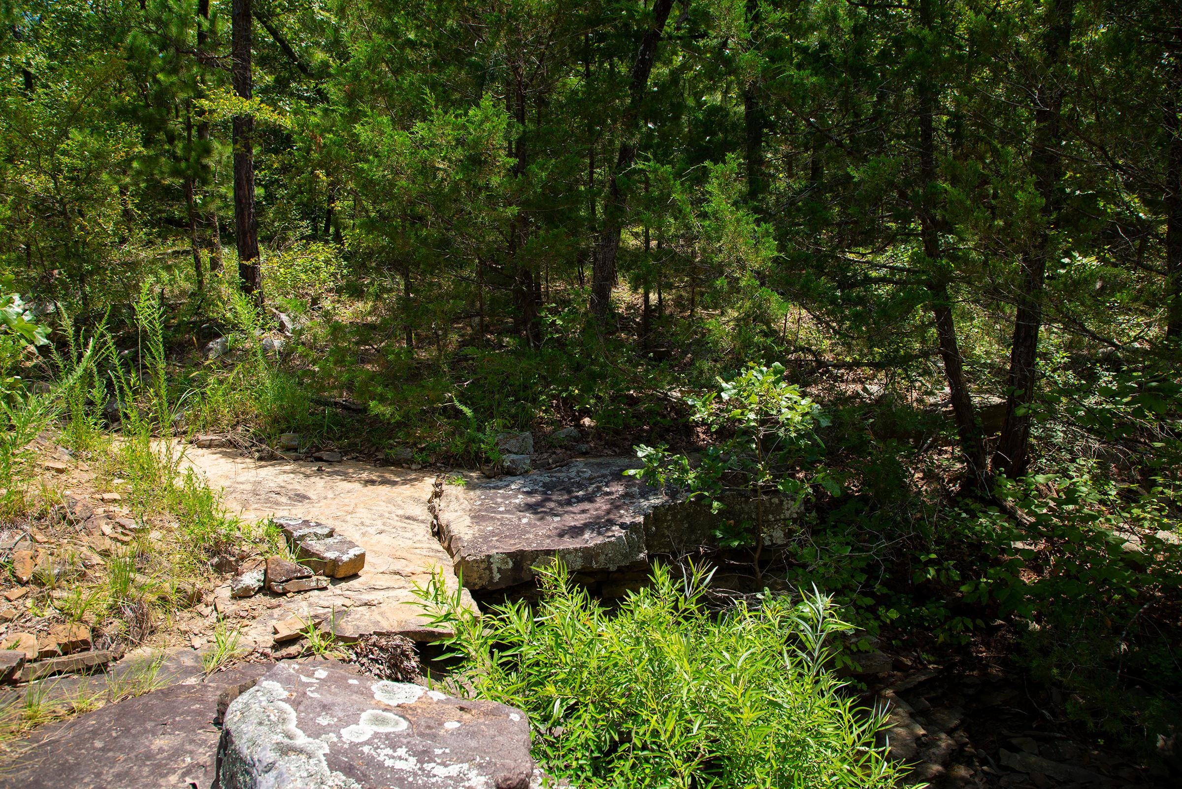 Tyler Stone Ranch Tract 75 photo 15