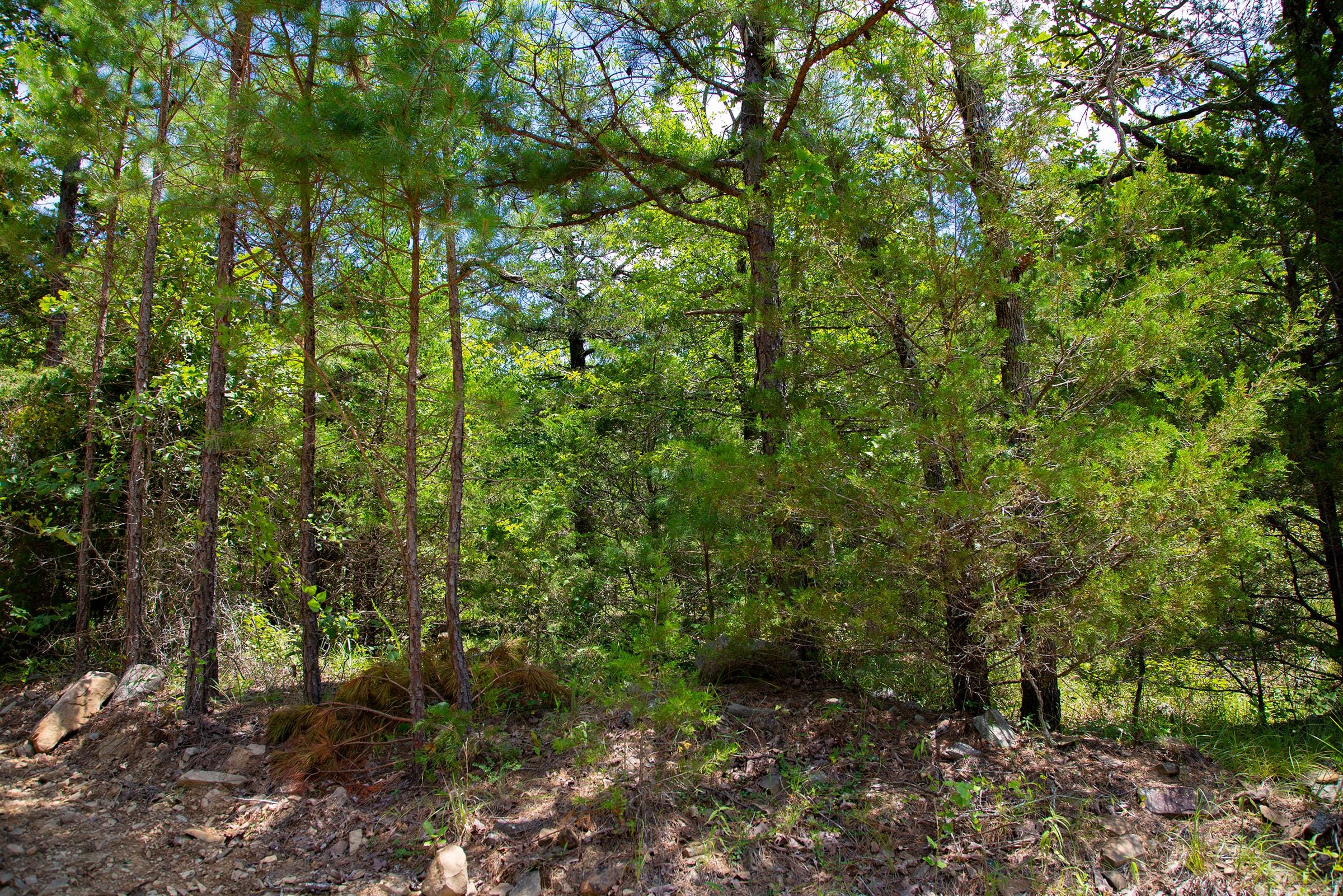 Tyler Stone Ranch Tract 75 photo 17