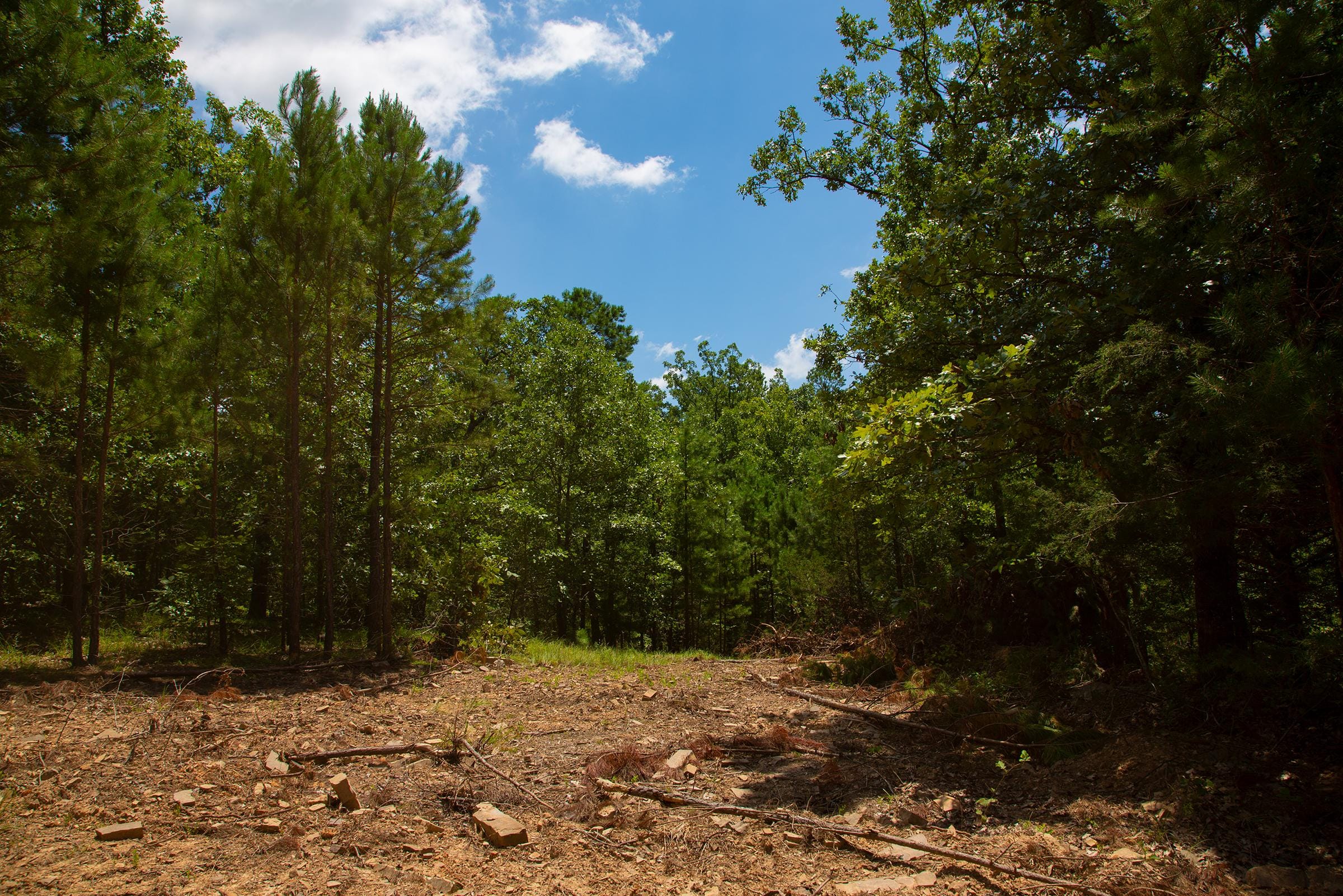 Tyler Stone Ranch Tract 75 photo 18