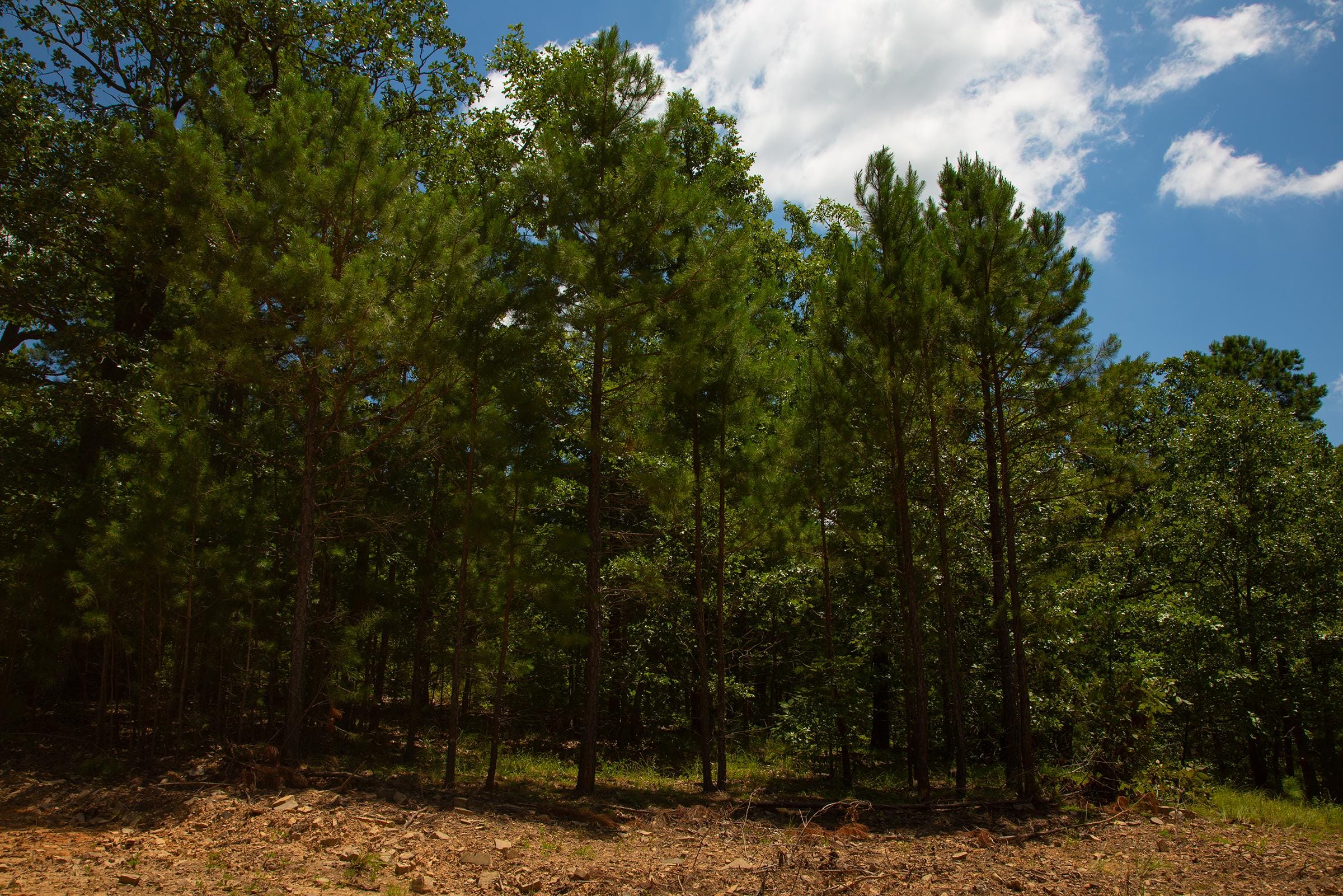 Tyler Stone Ranch Tract 75 photo 19
