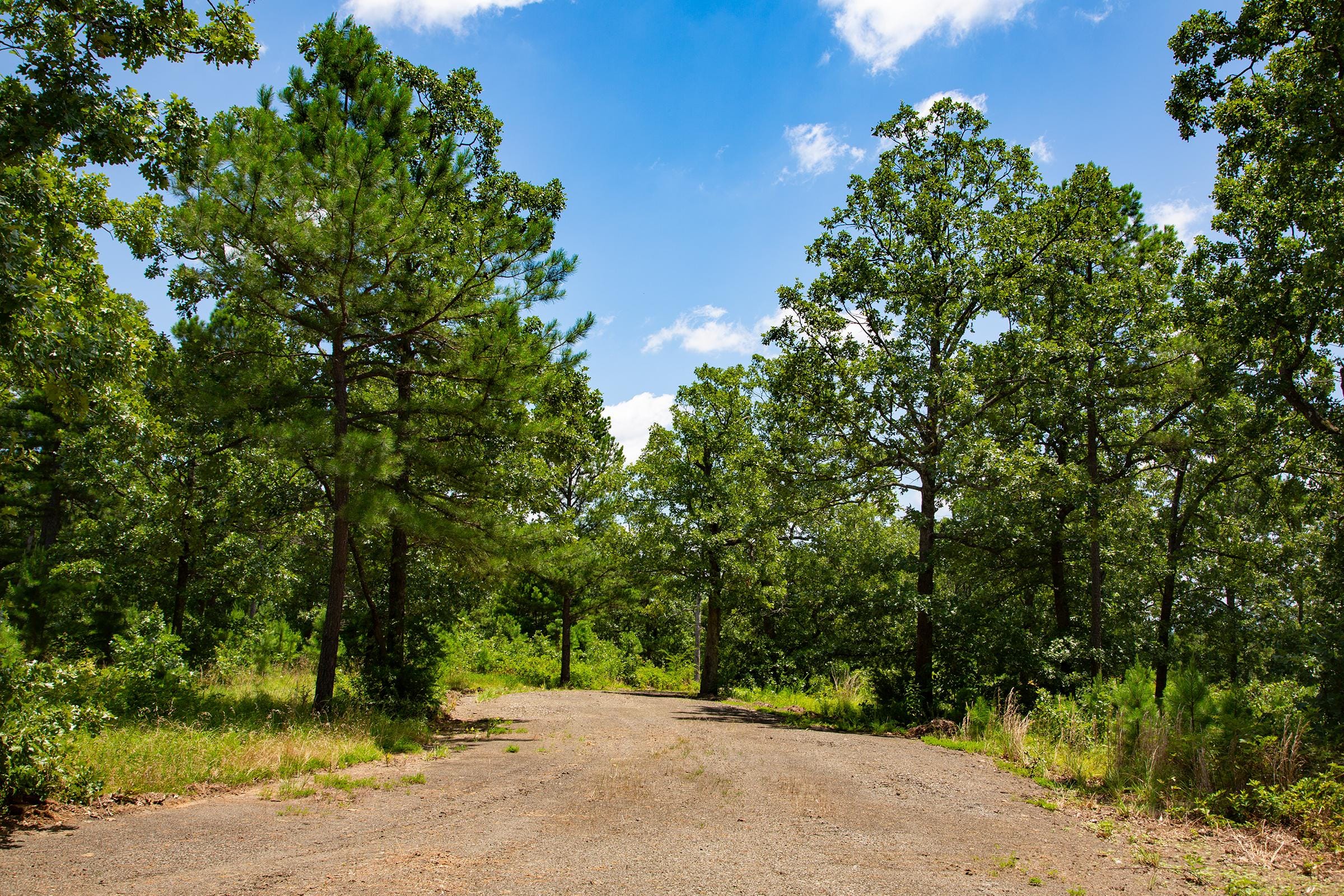 Tyler Stone Ranch Tract 75 photo 16