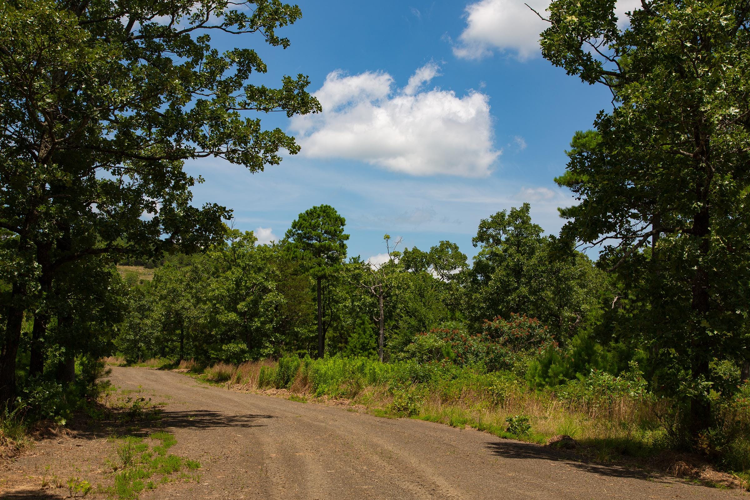 Tyler Stone Ranch Tract 75 photo 24