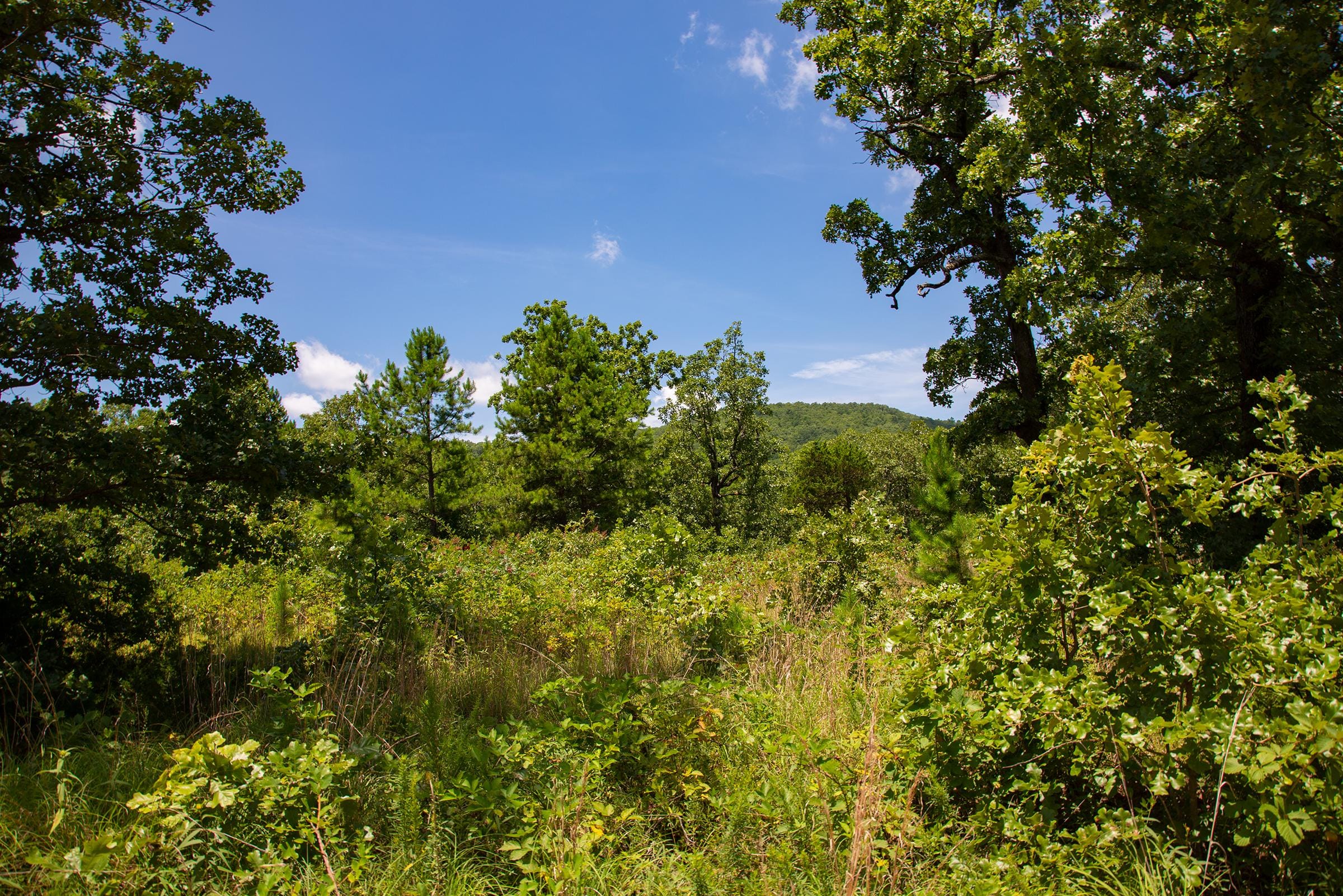 Tyler Stone Ranch Tract 75 photo 26