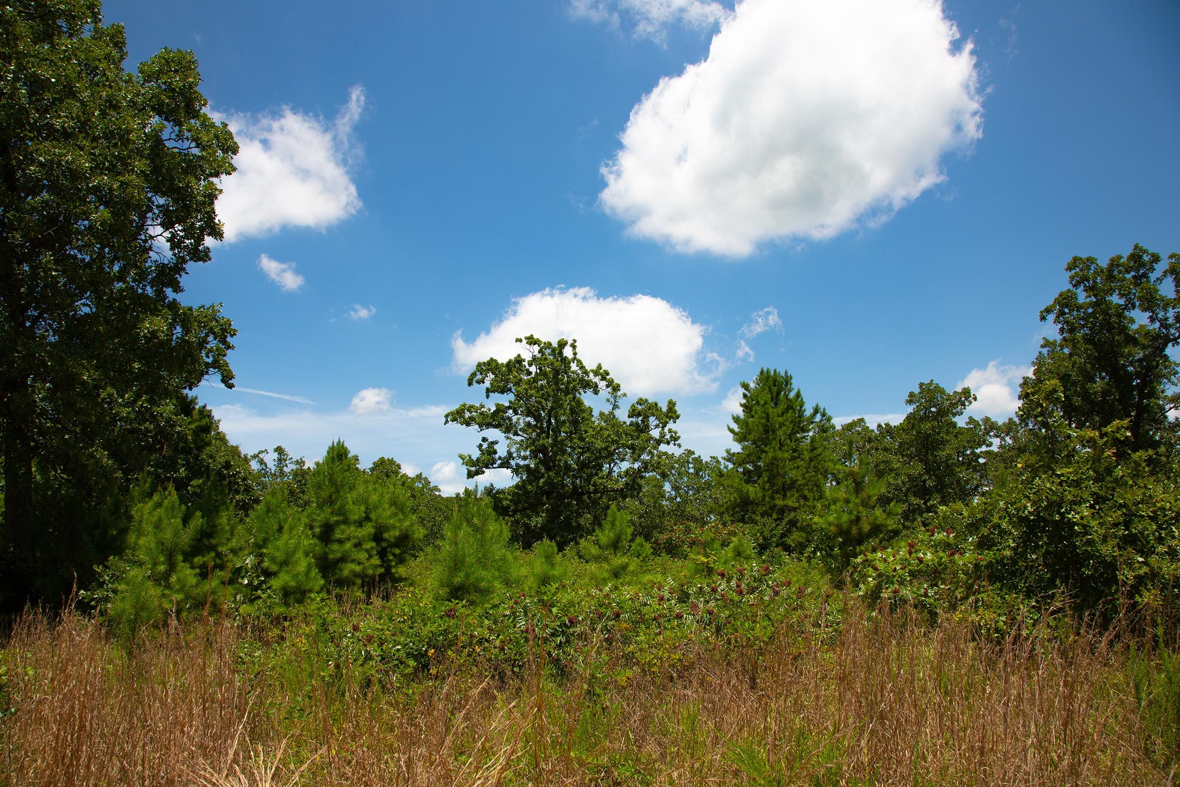 Tyler Stone Ranch Tract 75 photo 27