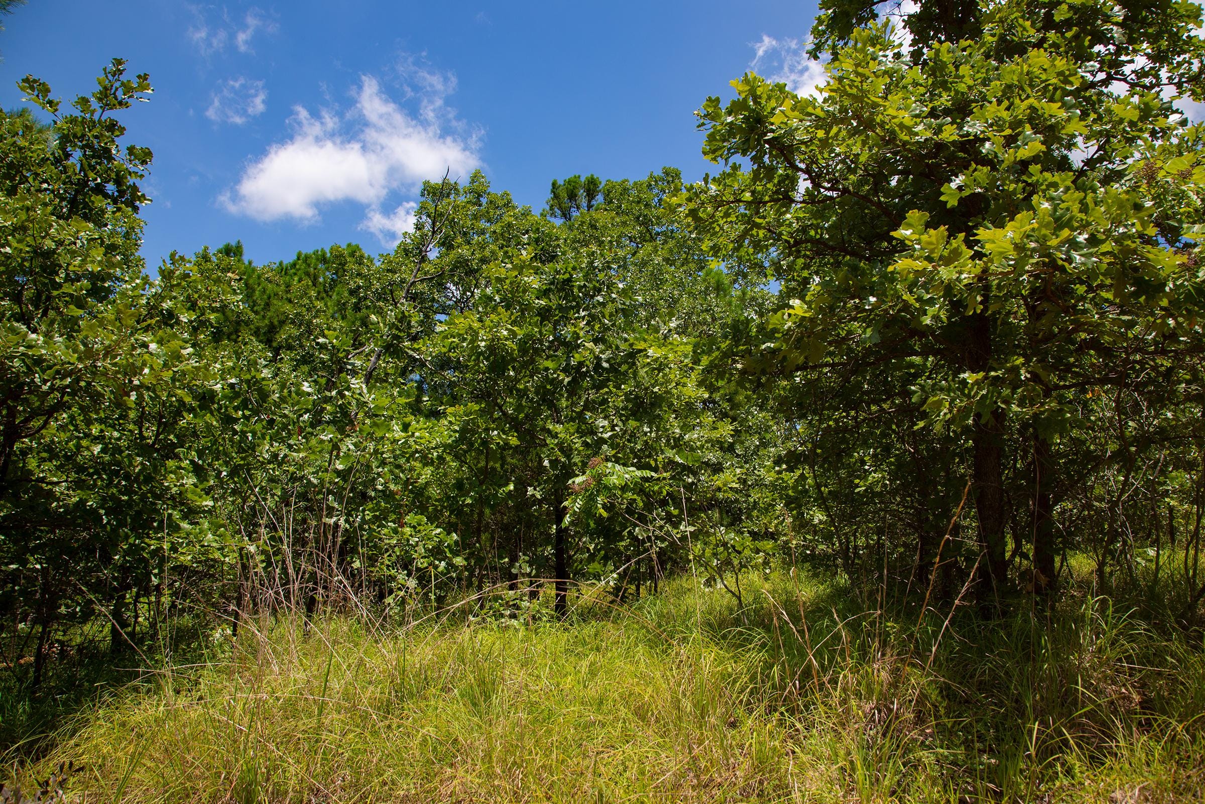 Tyler Stone Ranch Tract 75 photo 30