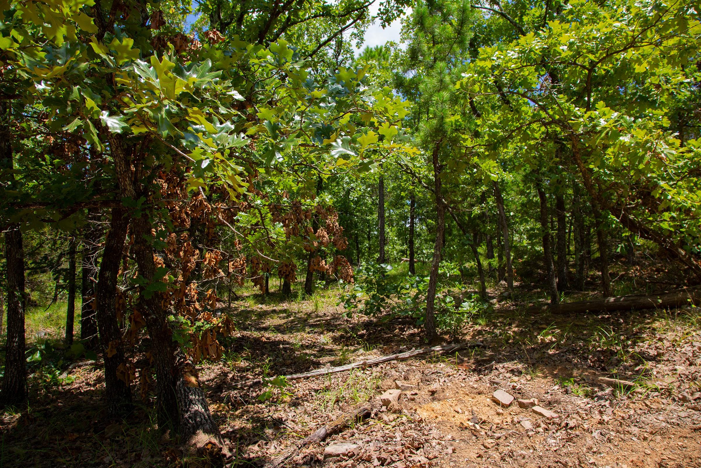 Tyler Stone Ranch Tract 75 photo 32