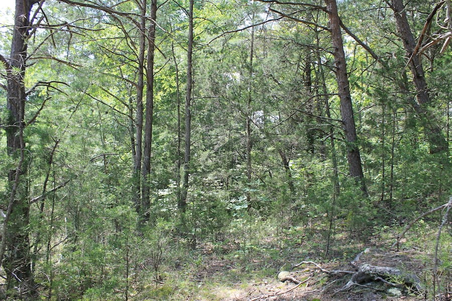 Cumberland Ridge Ranch Tract 13 photo 2