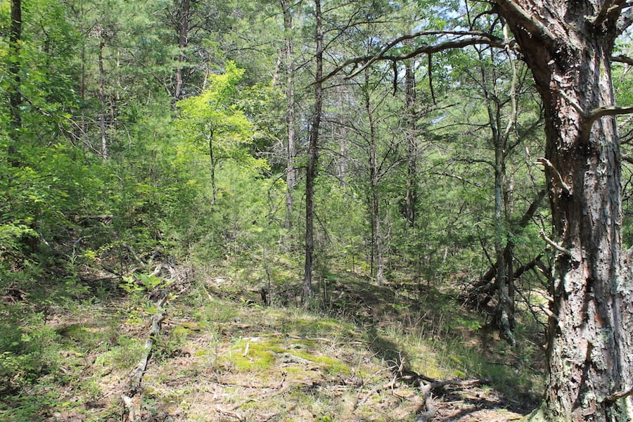 Cumberland Ridge Ranch Tract 13 photo 4