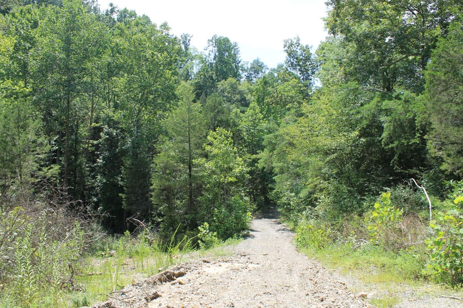 Cumberland Ridge Ranch Tract 13 photo 11