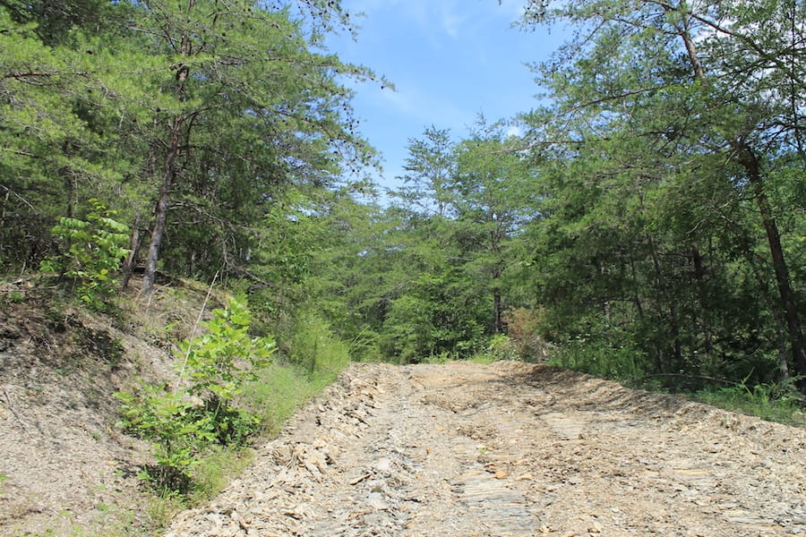 Cumberland Ridge Ranch Tract 13 photo 12