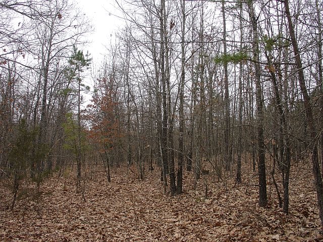 Barnes Hollow Tract 4 photo 2