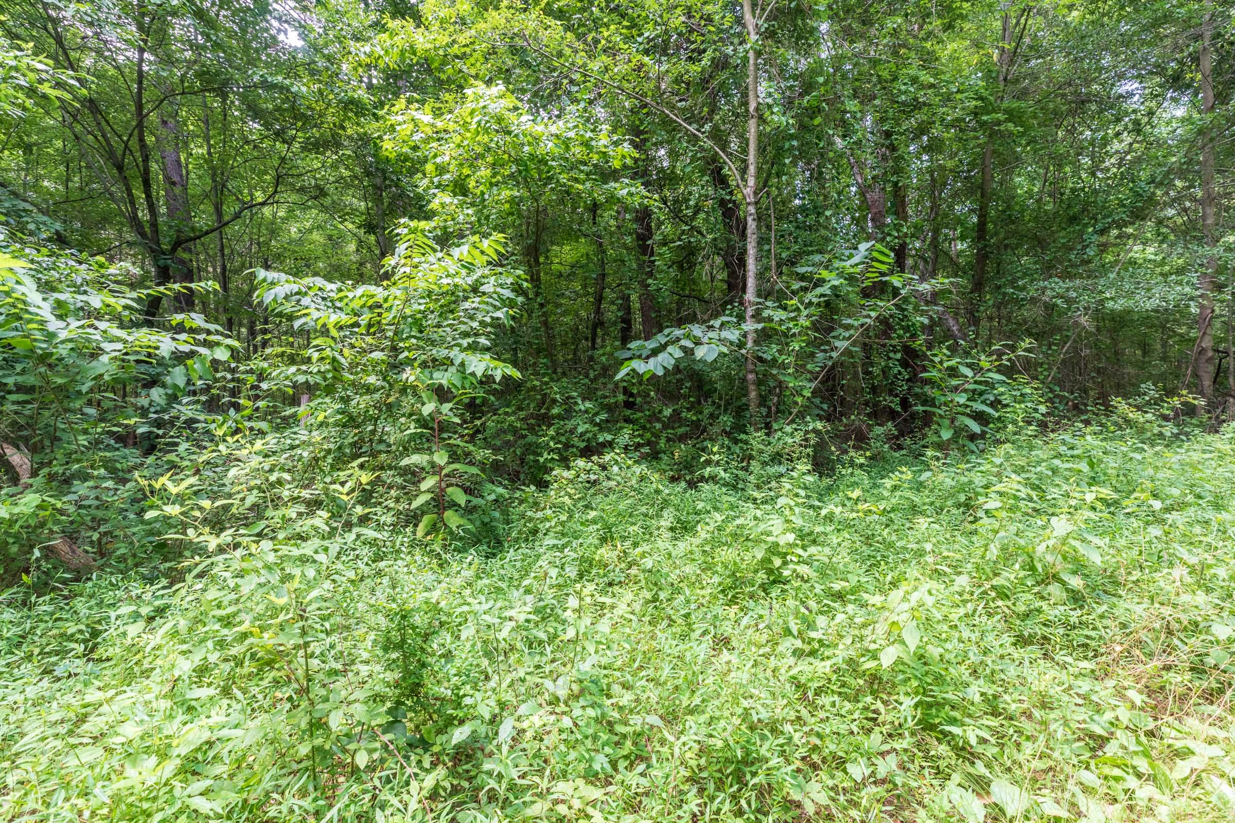 Whiskey Ridge Tract 23 photo 2