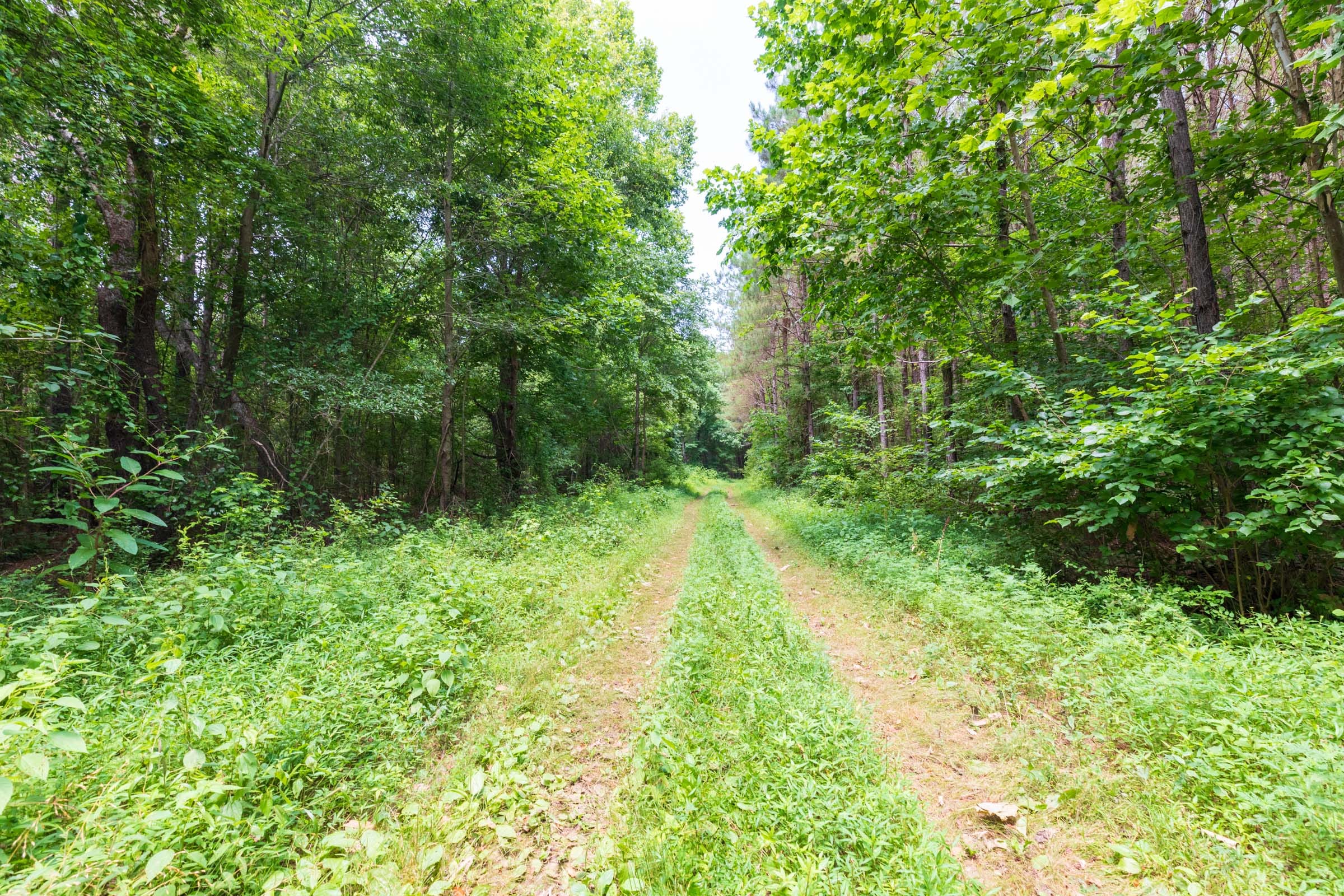 Whiskey Ridge Tract 23 photo 1