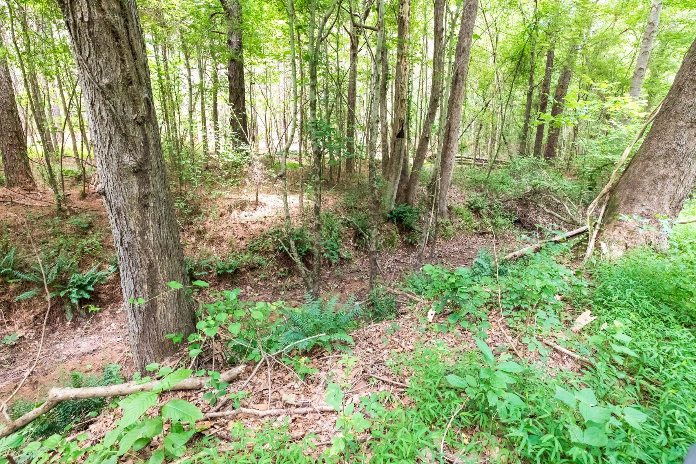 Whiskey Ridge Tract 23 photo 3