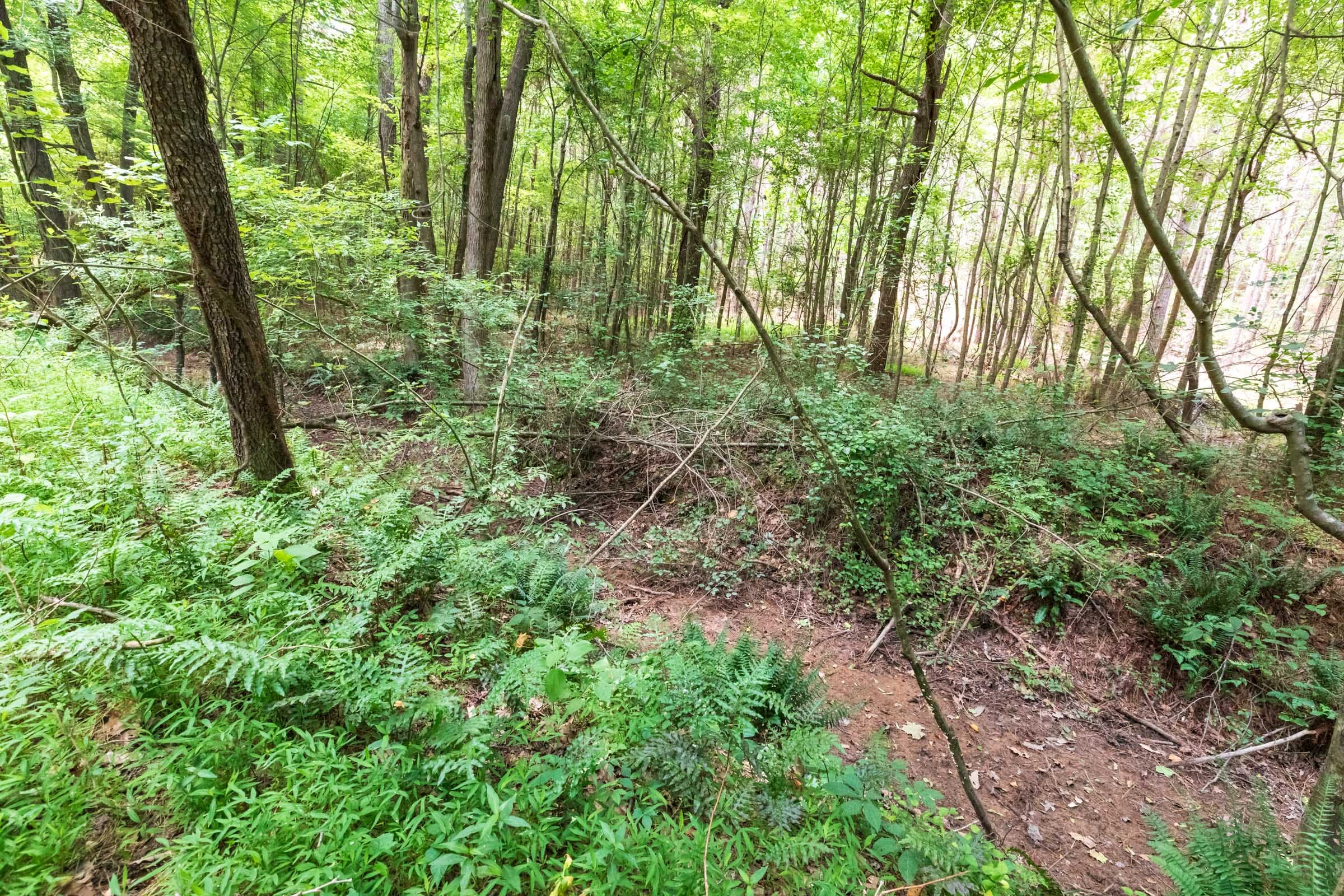 Whiskey Ridge Tract 23 photo 6