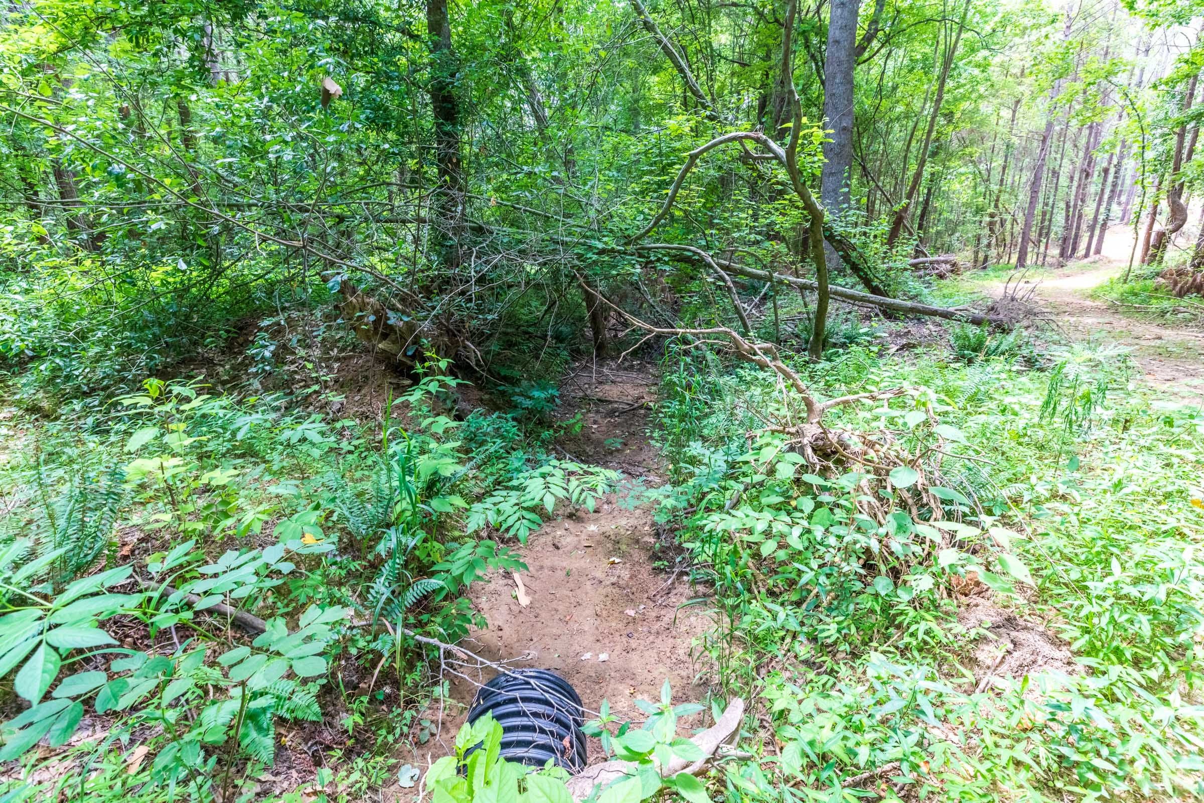 Whiskey Ridge Tract 23 photo 9