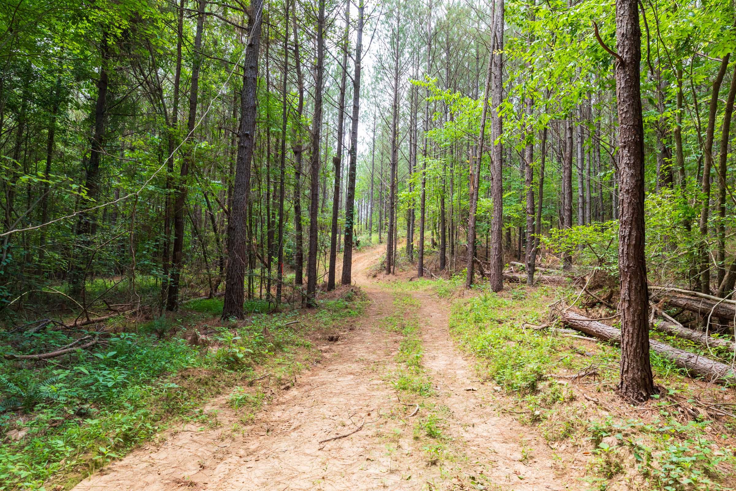 Whiskey Ridge Tract 23 photo 5