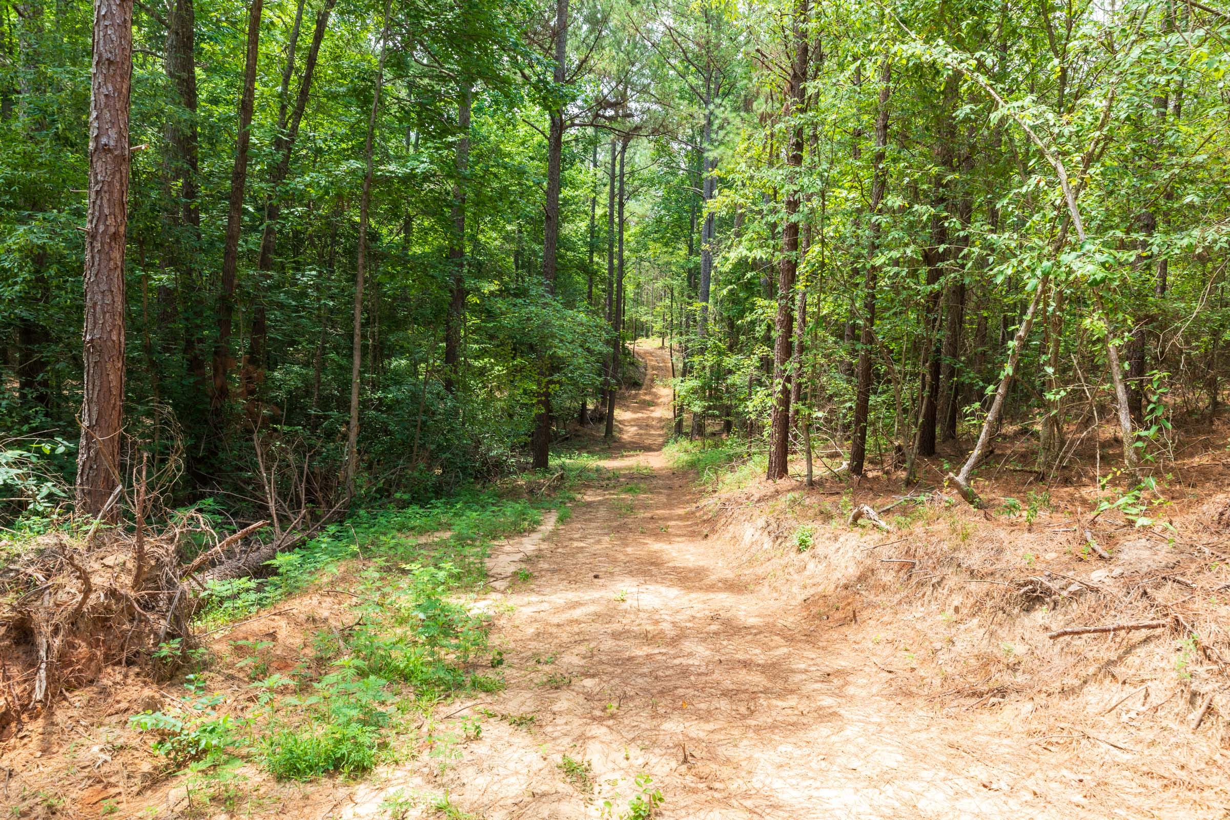 Whiskey Ridge Tract 23 photo 17