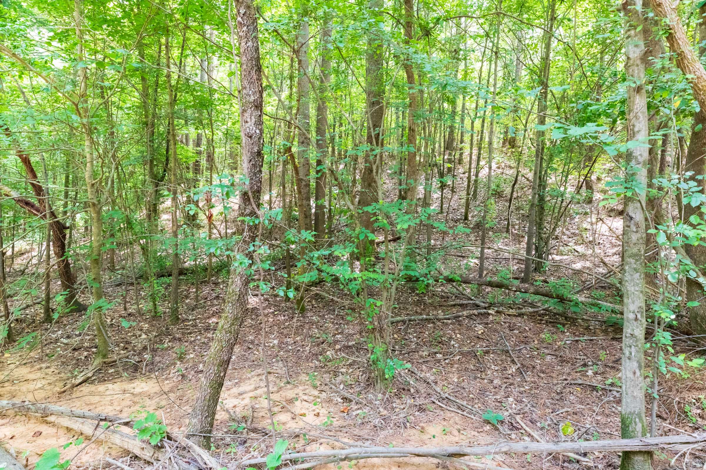Whiskey Ridge Tract 23 photo 15