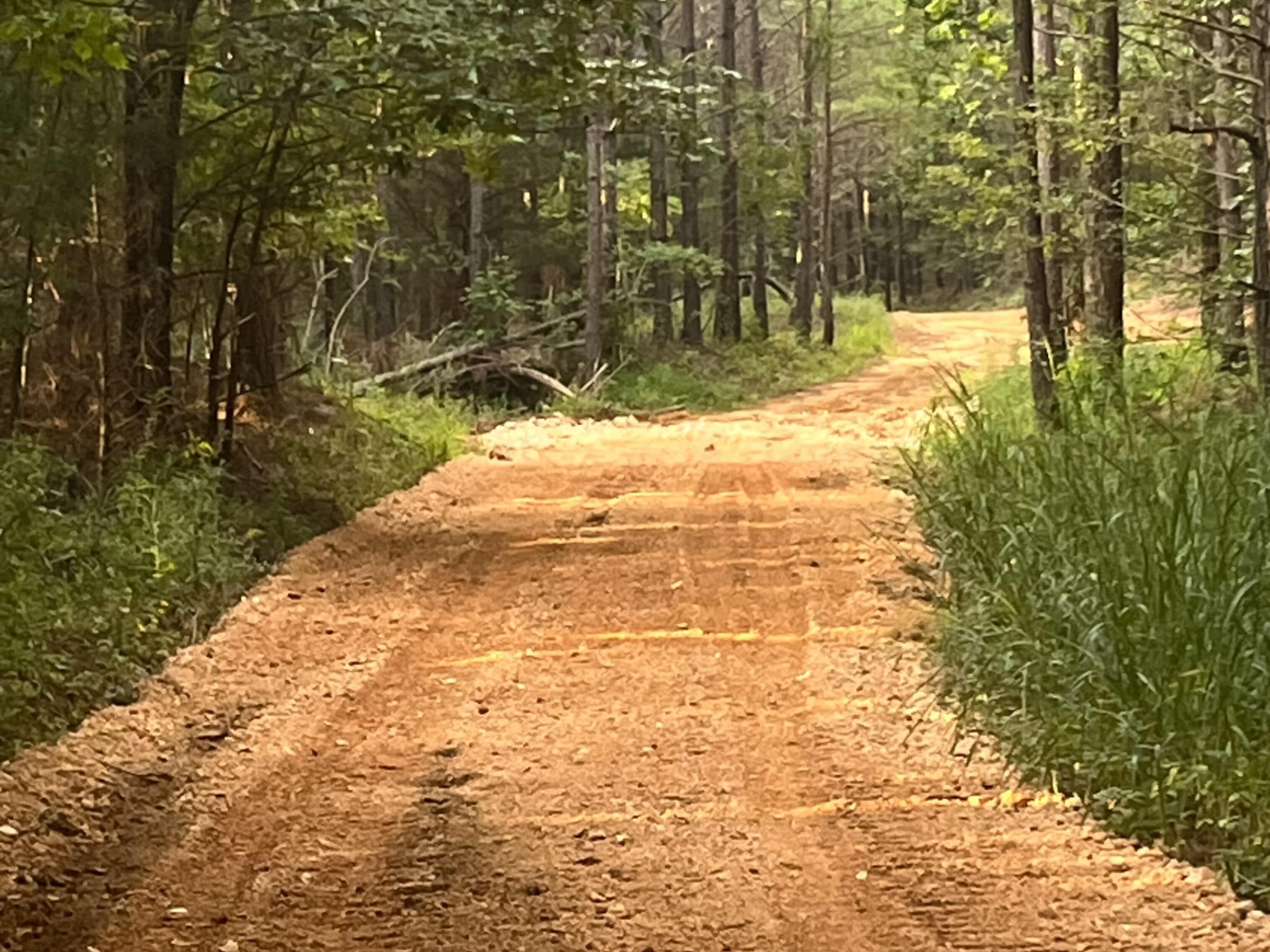 Whiskey Ridge Tract 23 photo 8