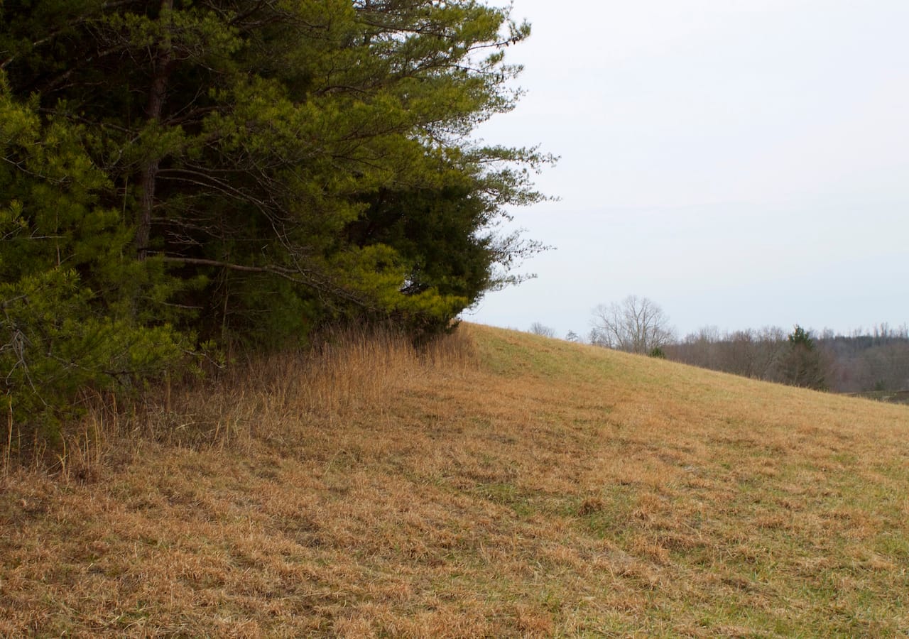 Majestic Rock Ranch Tract 10 photo 3