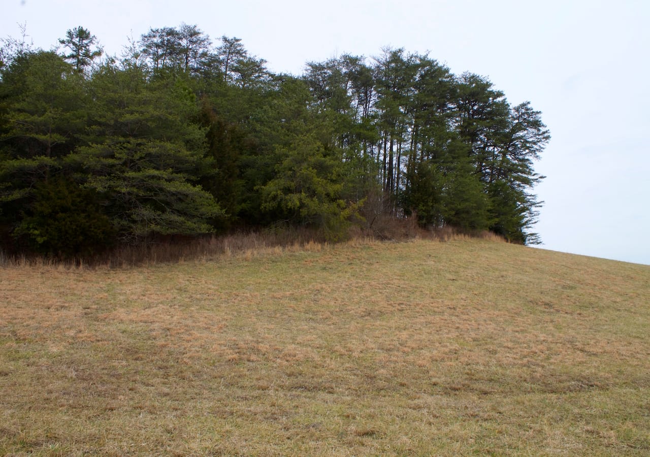 Majestic Rock Ranch Tract 10 photo 4