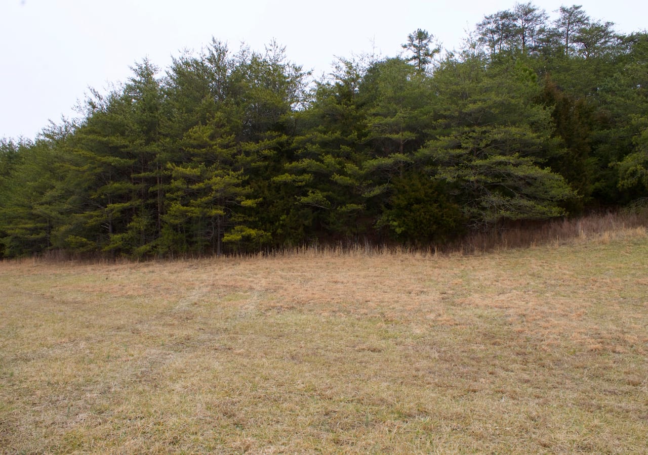 Majestic Rock Ranch Tract 10 photo 5